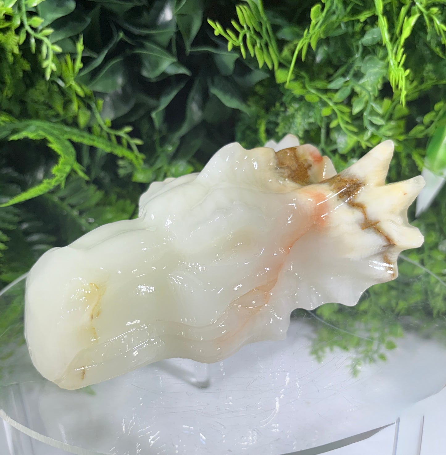 Ivory Onyx Dragon Head - Natural Banded Calcite - Calm • Grounding • Inner Wisdom