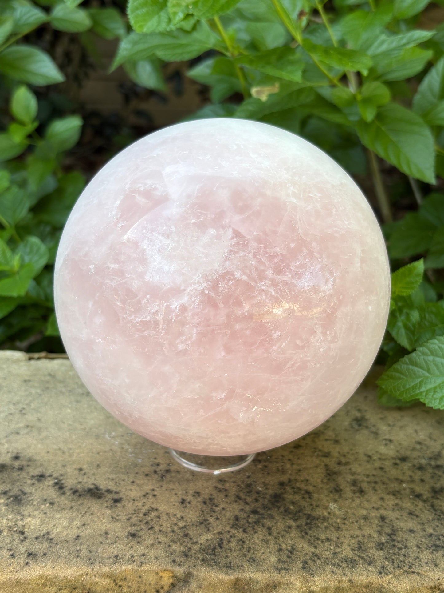 Large Rose Quartz Sphere 10.27 lbs. Love & Compassion