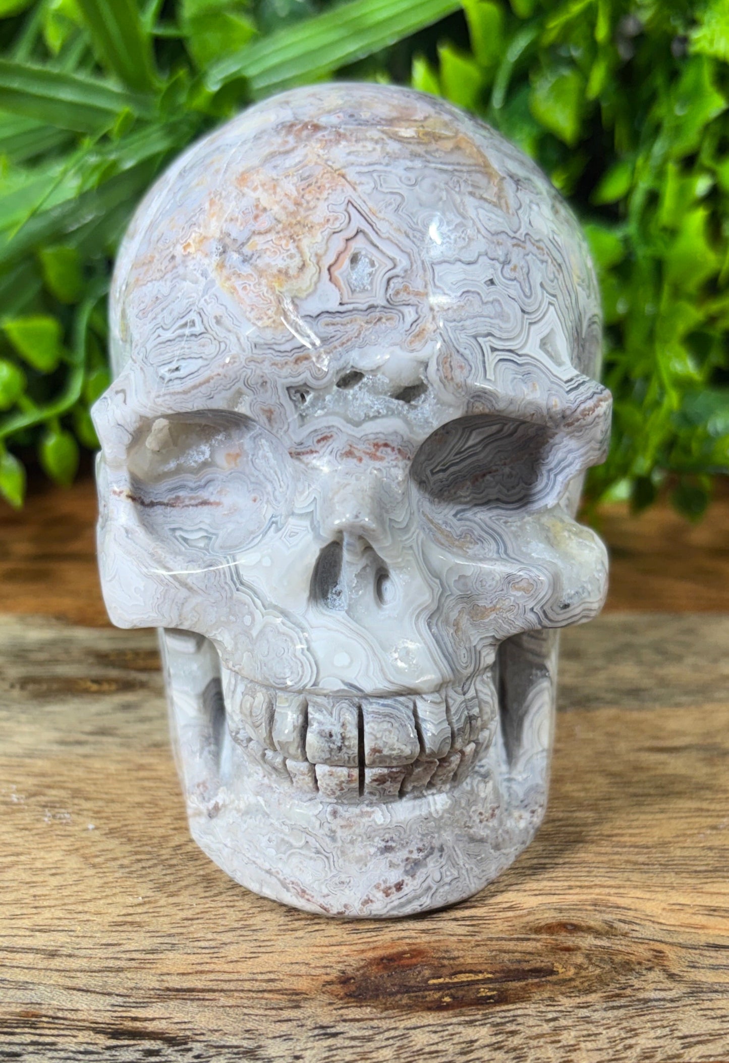 White Mexican Lace Agate Skull -  Balance • Clarity • Grounding