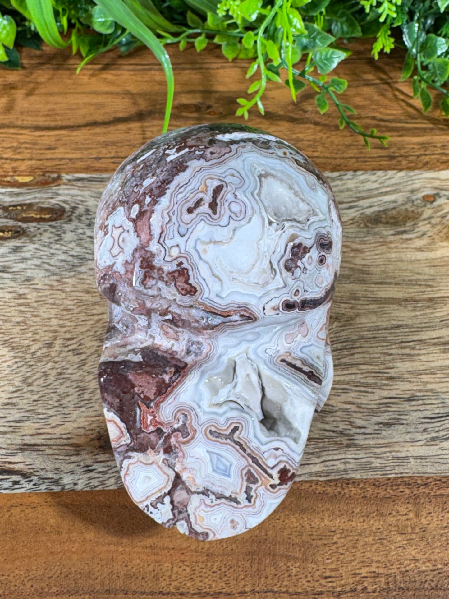 White Mexican Lace Agate Skull -  Balance • Clarity • Grounding
