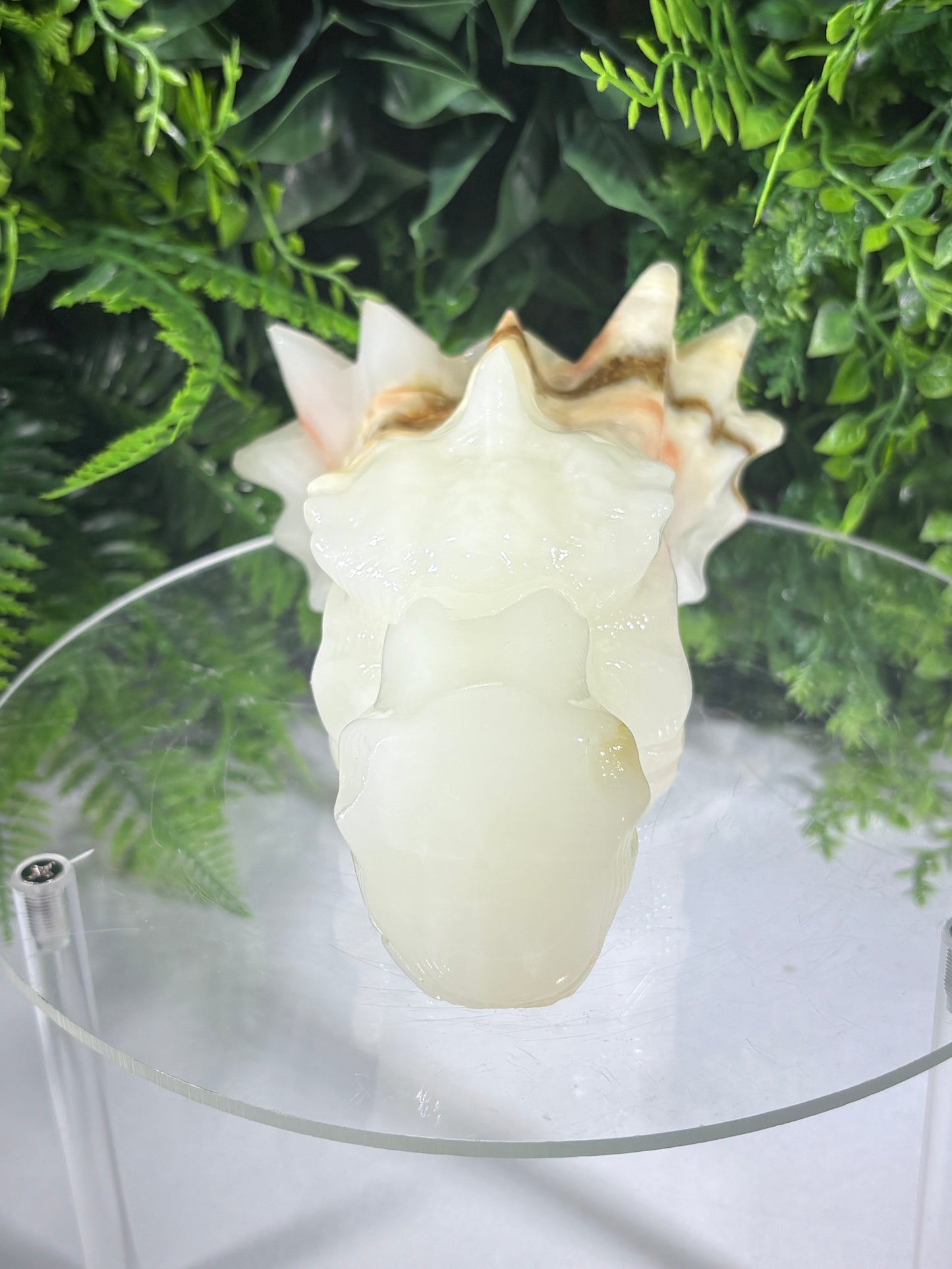 Ivory Onyx Dragon Head - Natural Banded Calcite - Calm • Grounding • Inner Wisdom