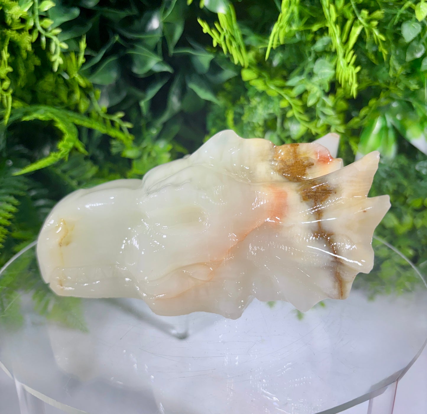 Ivory Onyx Dragon Head - Natural Banded Calcite - Calm • Grounding • Inner Wisdom