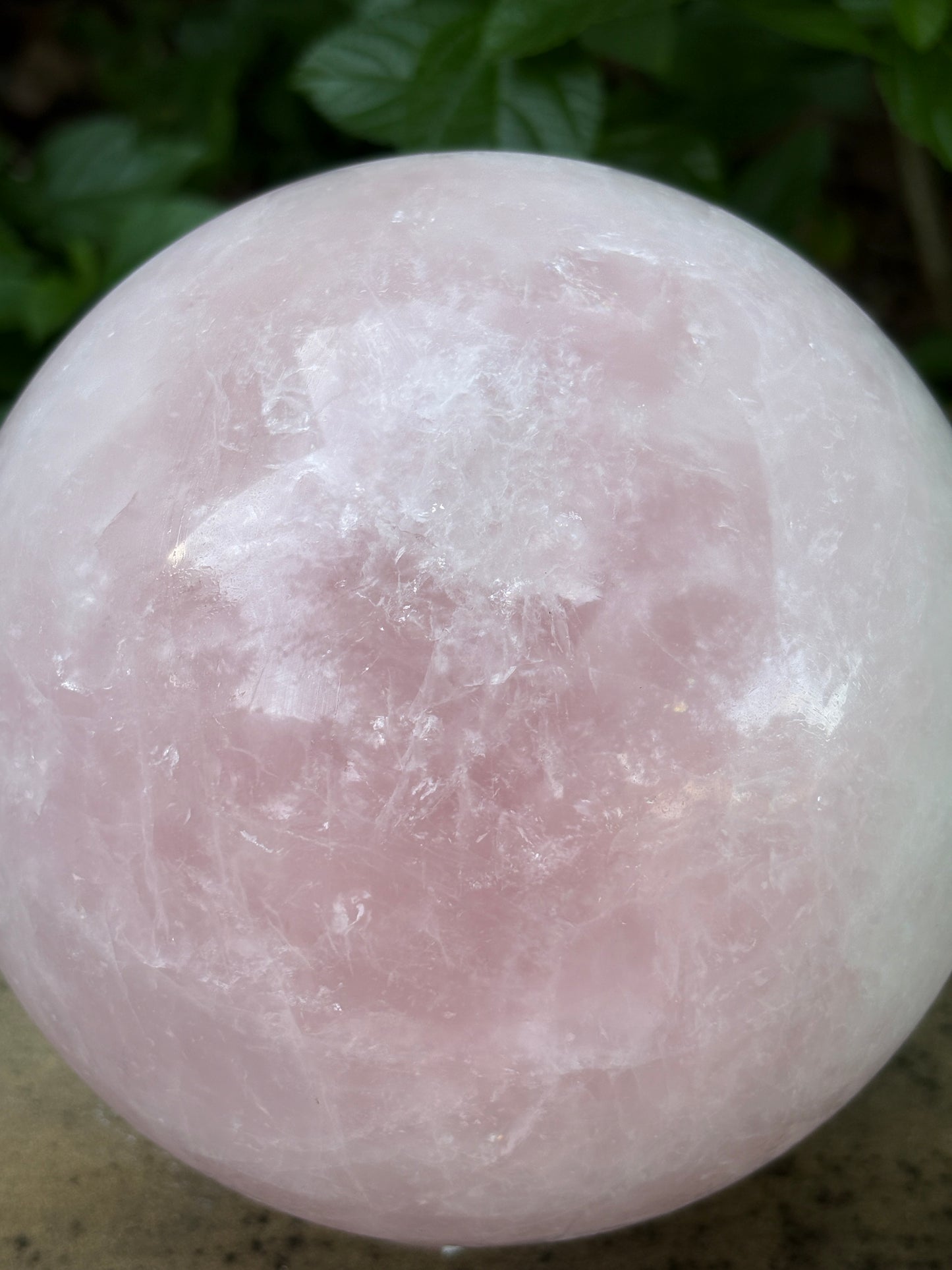 Large Rose Quartz Sphere 10.27 lbs. Love & Compassion