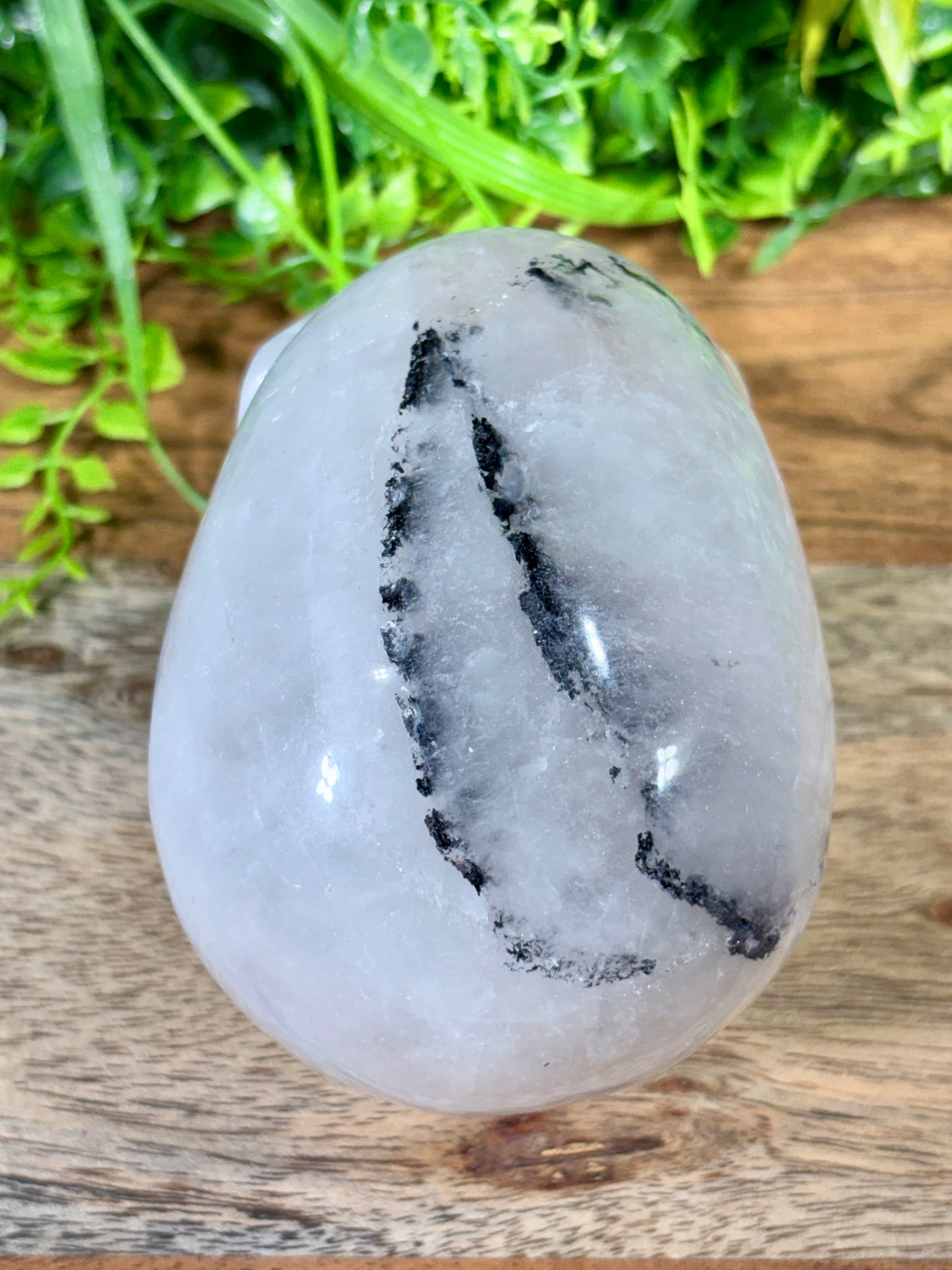 4.5" Tourmalinated Quartz Skull Protection • Clarity • Grounding - 2.20 lbs.