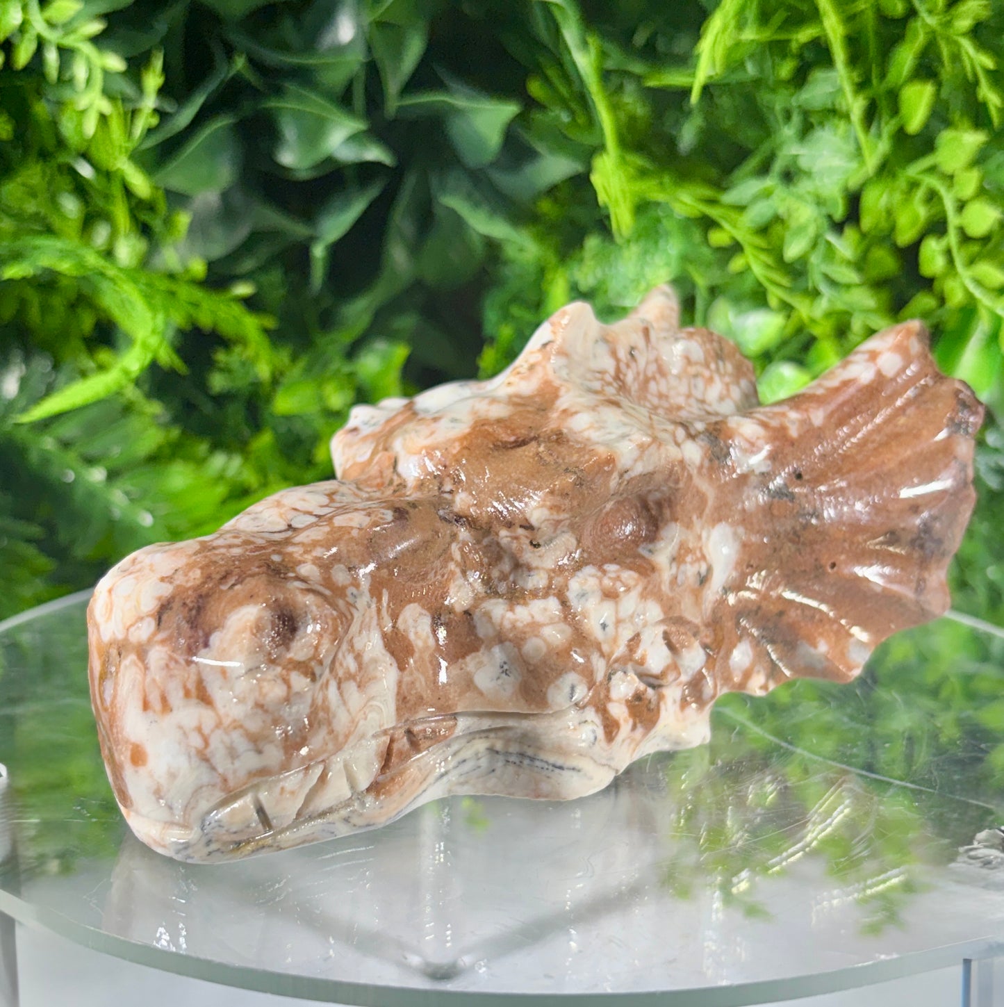 Amber Calcite Dragon Head Carving - Confidence • Joy • Empowered Energy