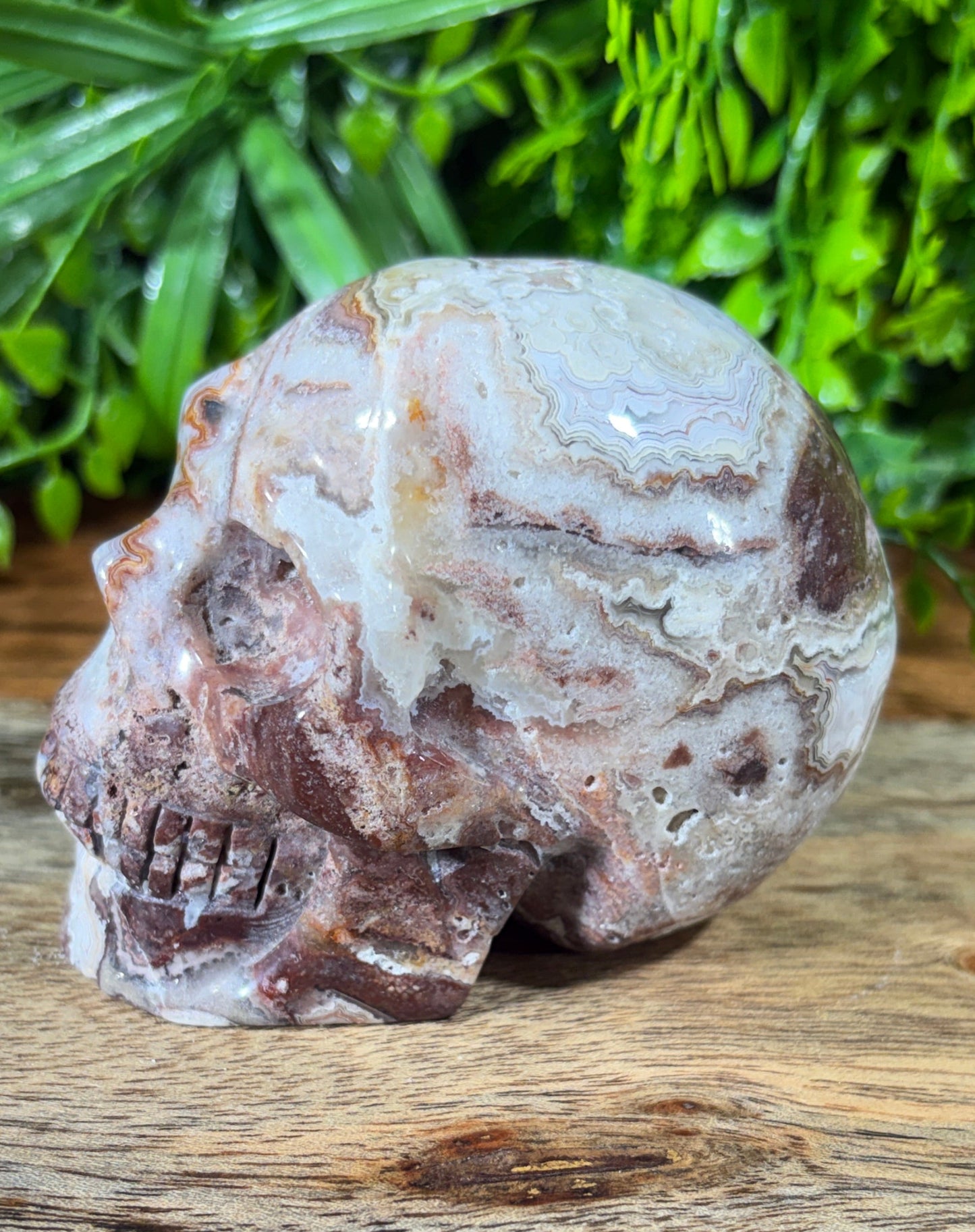 White Mexican Lace Agate Skull -  Balance • Clarity • Grounding