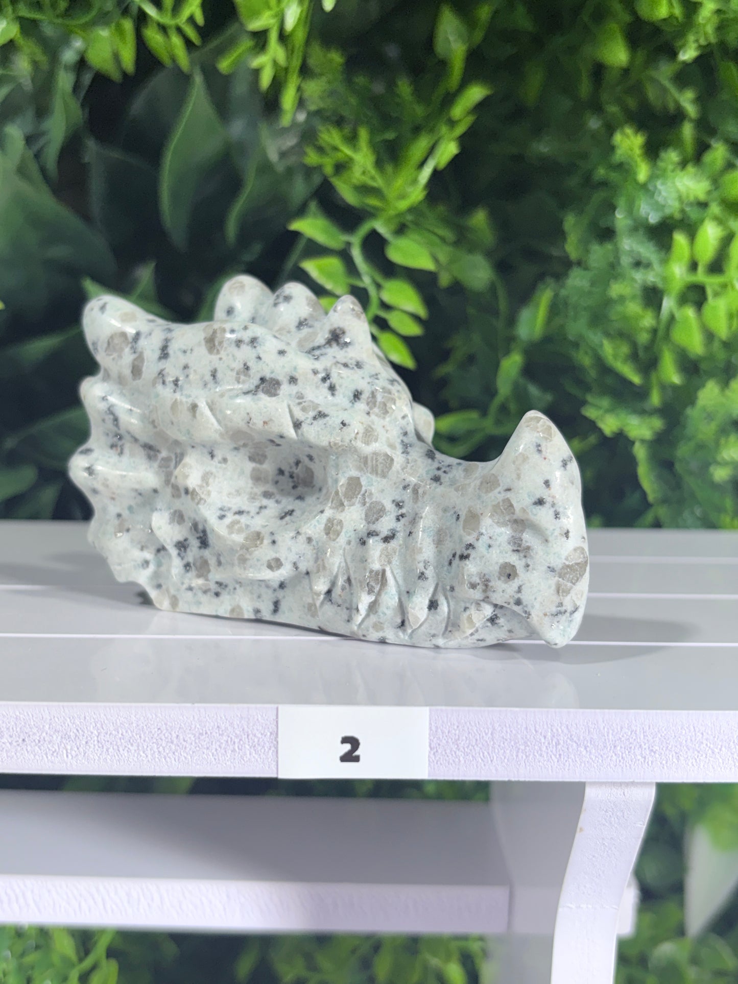Moss Agate & Kiwi Jasper Dragon Guardians – Choose Your Dragon  Growth • Courage • Ancient Earth Magic
