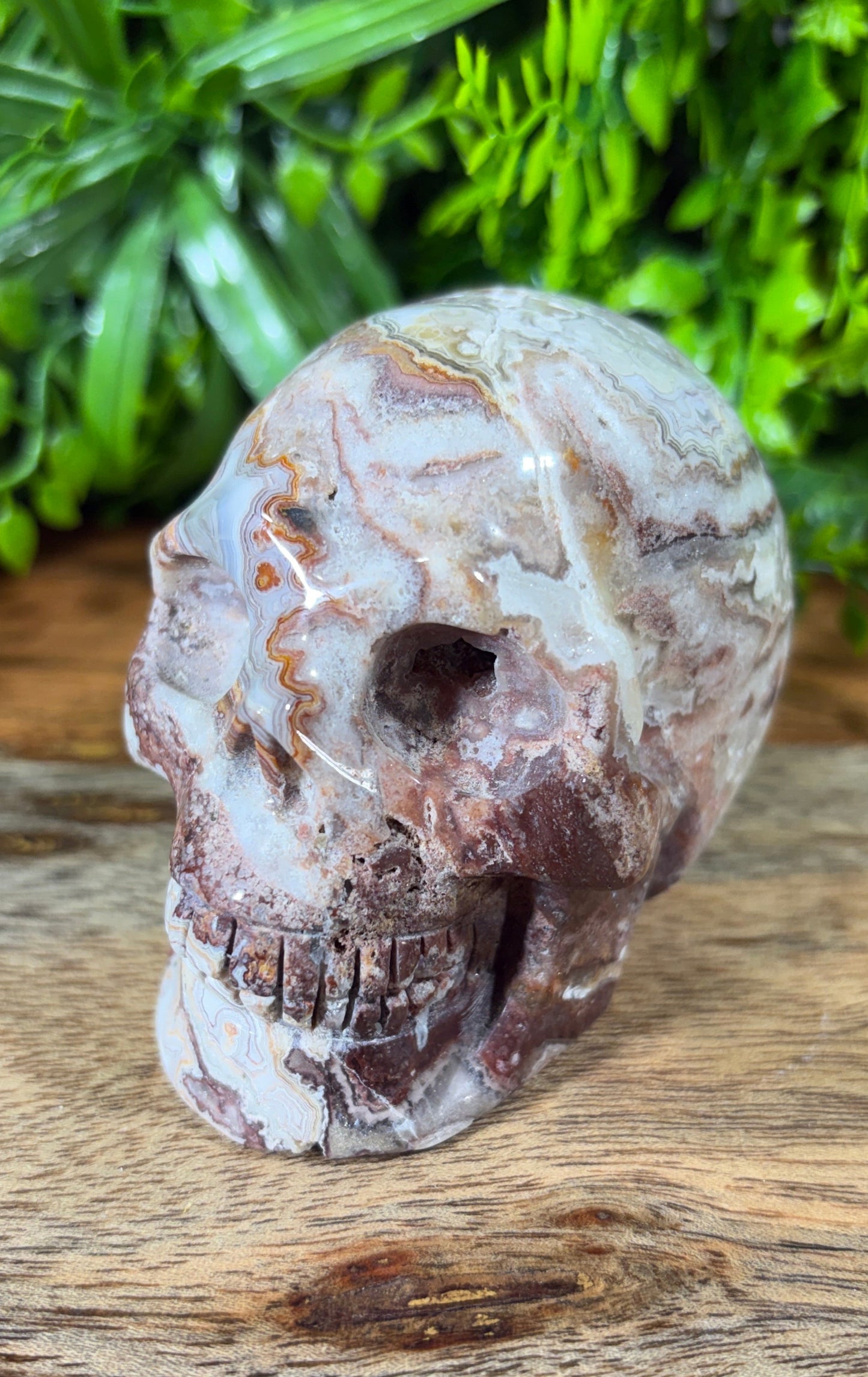 White Mexican Lace Agate Skull -  Balance • Clarity • Grounding