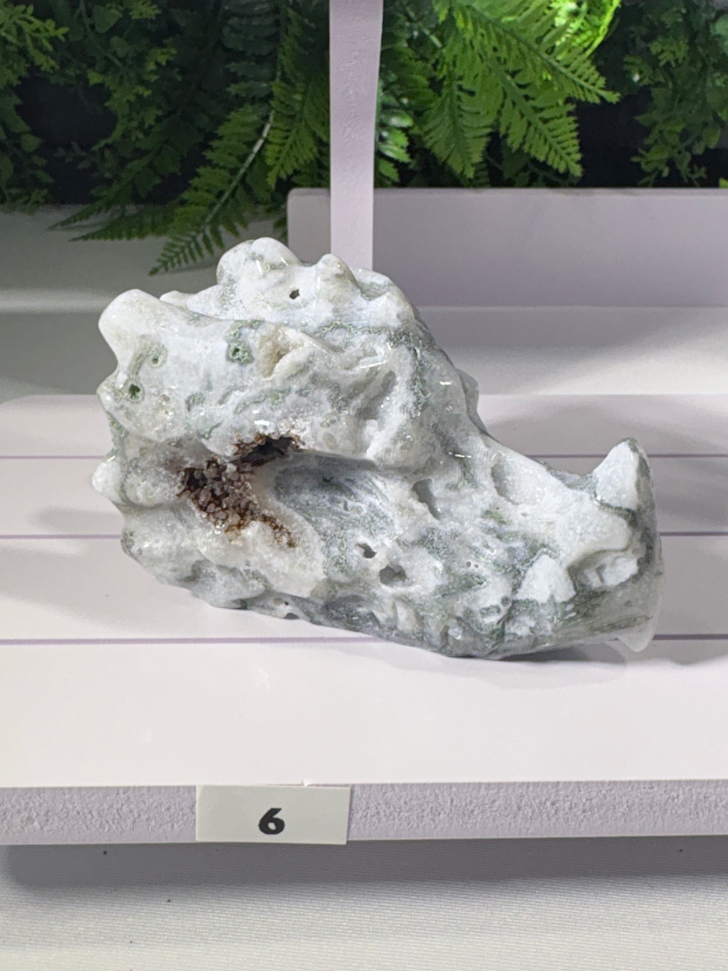 Moss Agate & Kiwi Jasper Dragon Guardians – Choose Your Dragon  Growth • Courage • Ancient Earth Magic