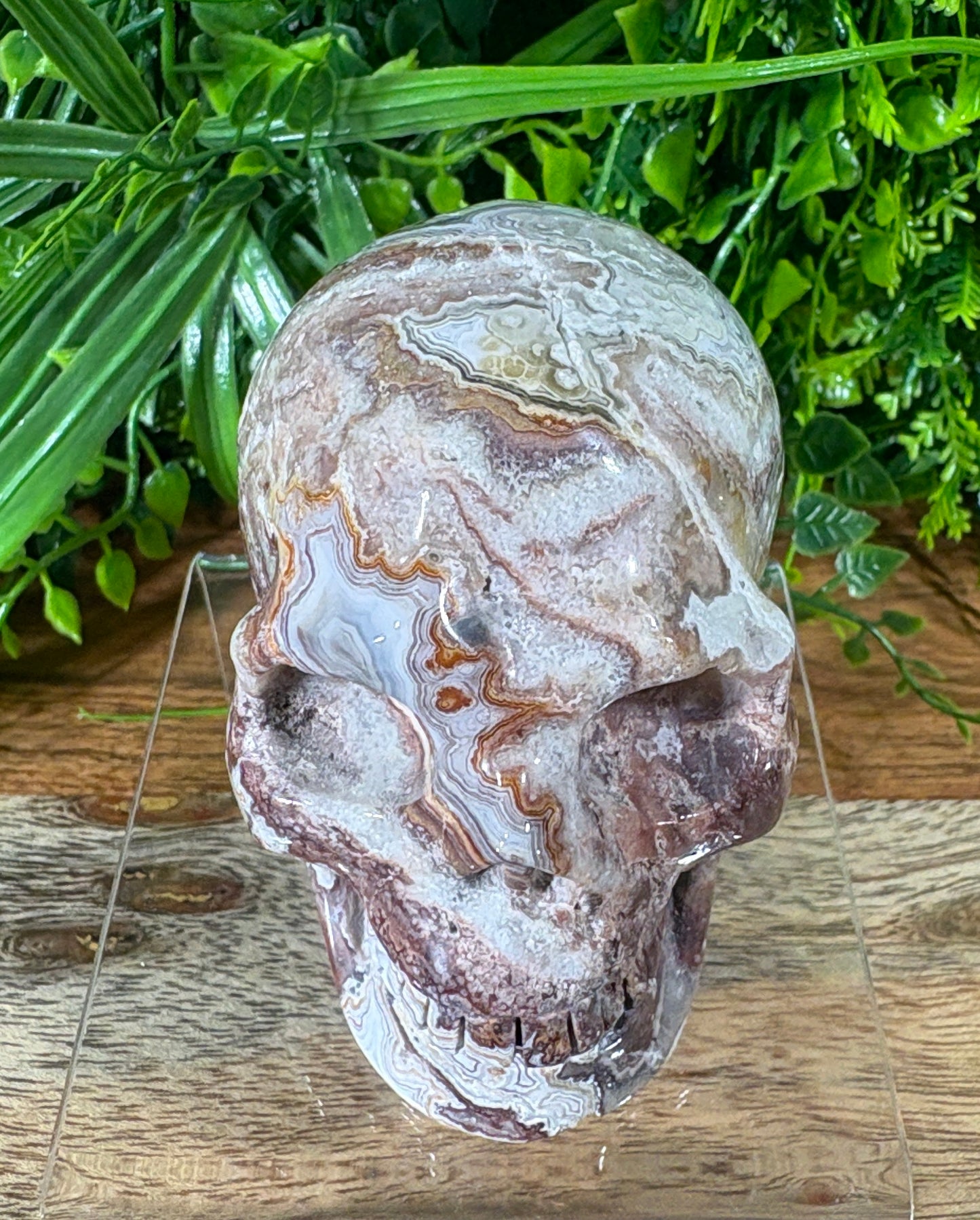 White Mexican Lace Agate Skull -  Balance • Clarity • Grounding