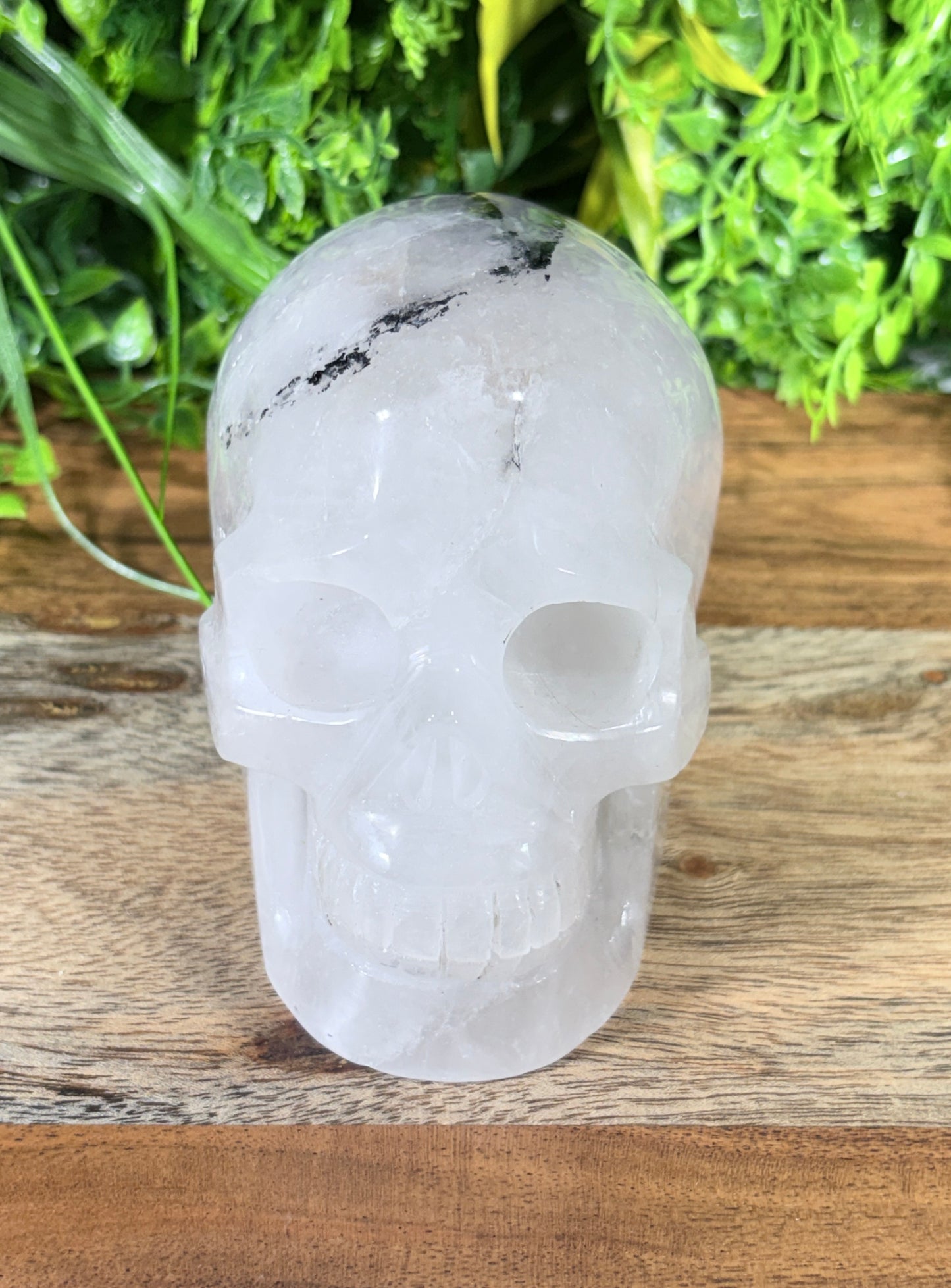 4.5" Tourmalinated Quartz Skull Protection • Clarity • Grounding - 2.20 lbs.