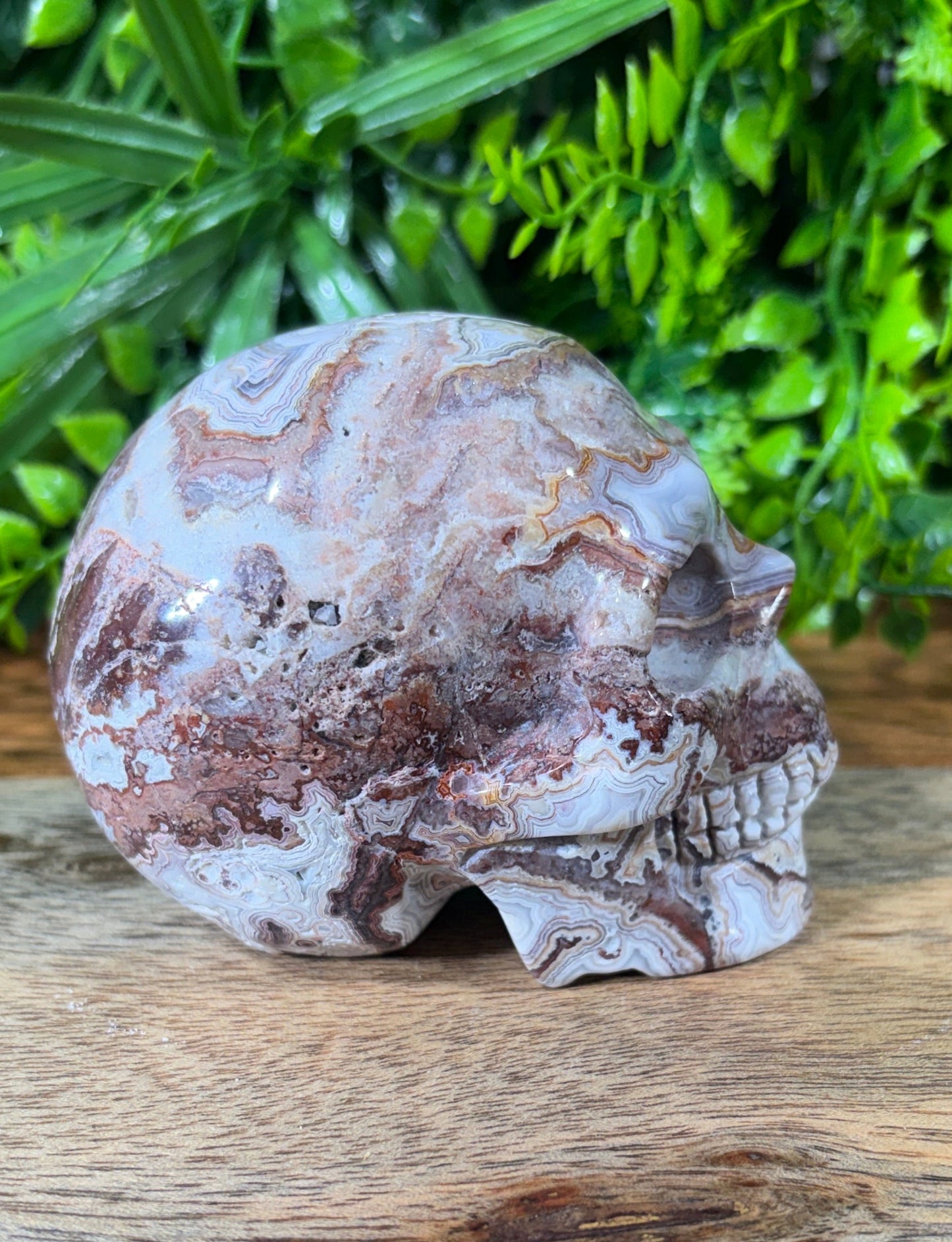 White Mexican Lace Agate Skull -  Balance • Clarity • Grounding
