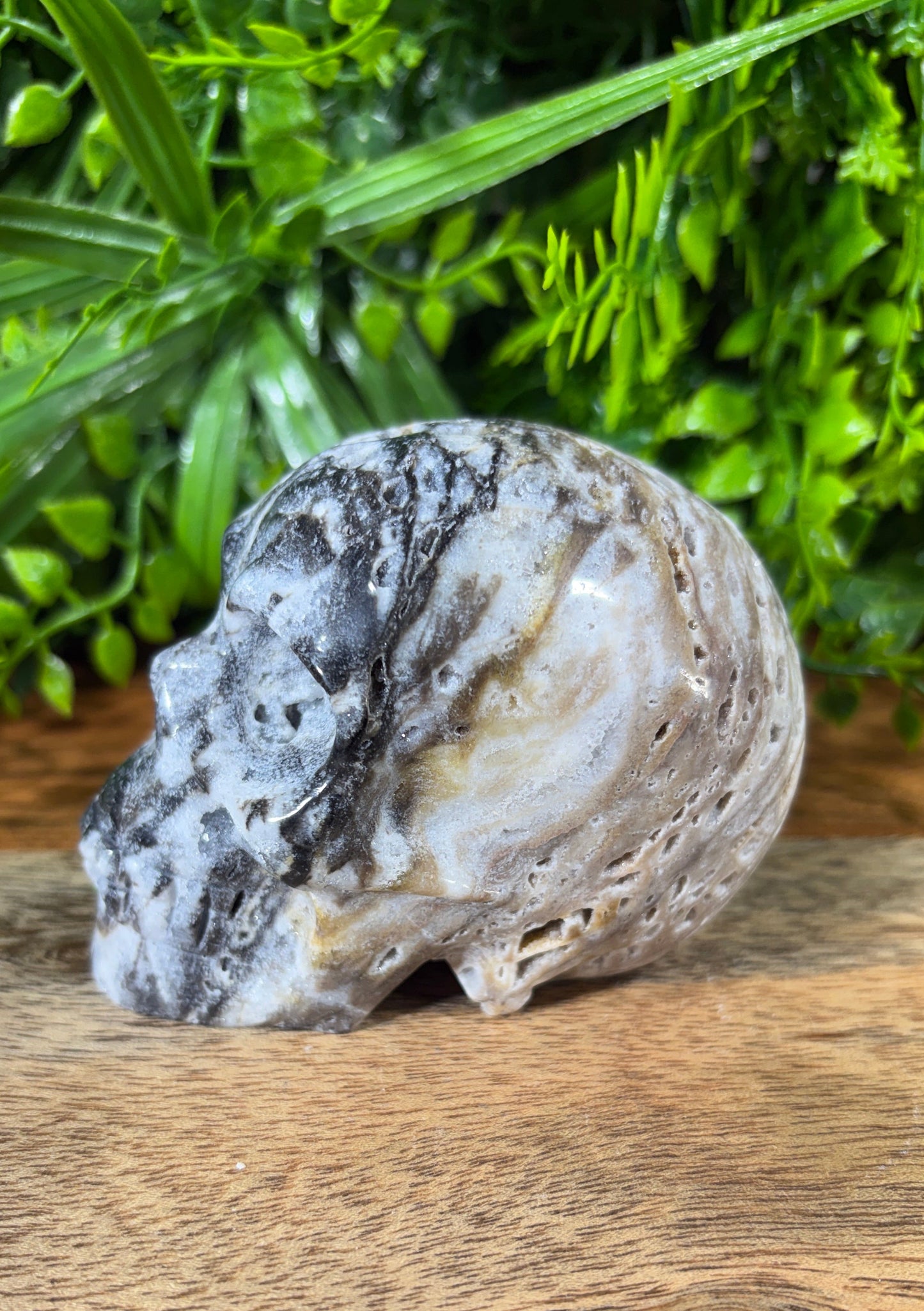 Sphalerite Skull with Druzy Caverns -  Grounding • Confidence • Transformation