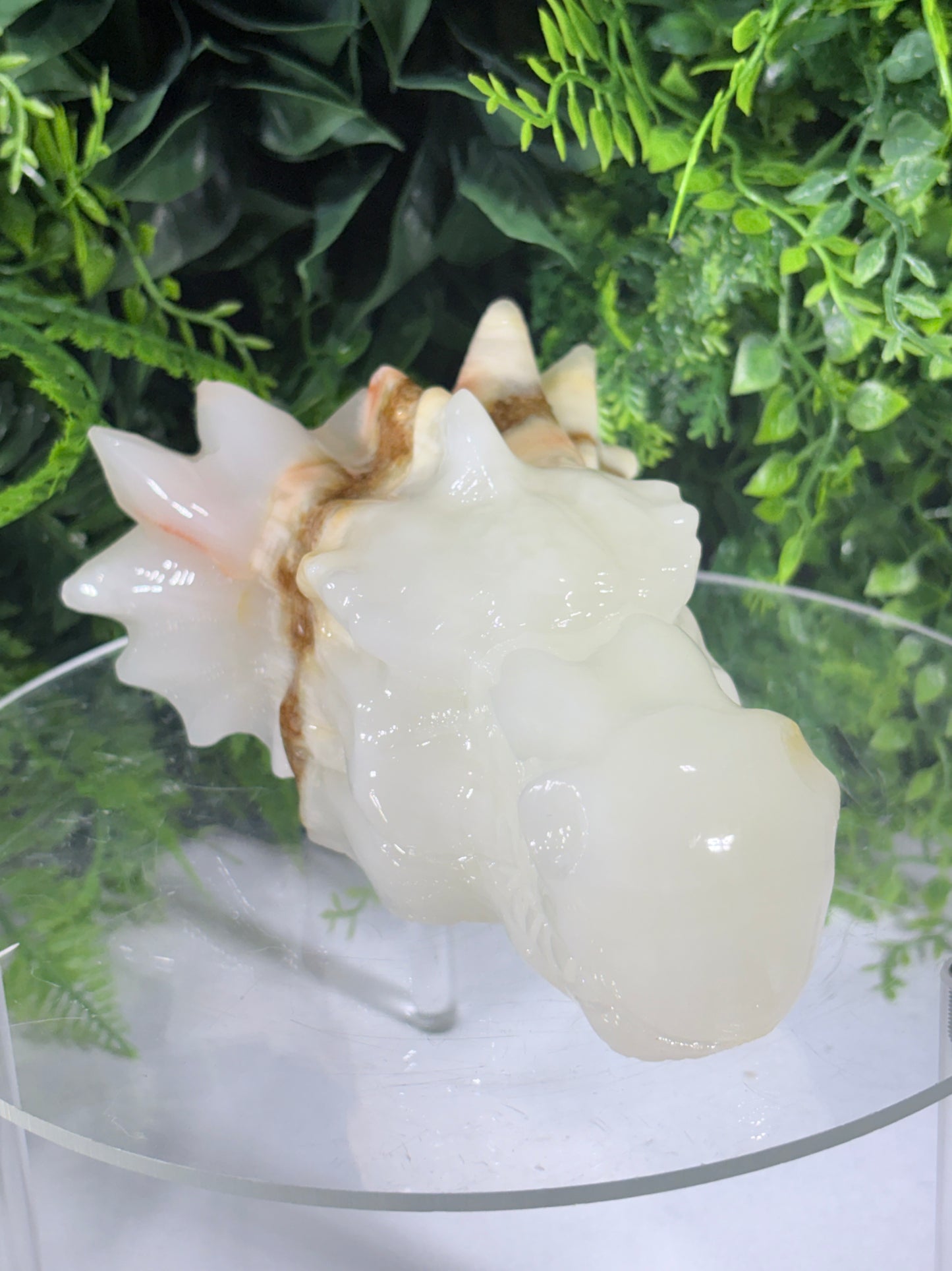 Ivory Onyx Dragon Head - Natural Banded Calcite - Calm • Grounding • Inner Wisdom