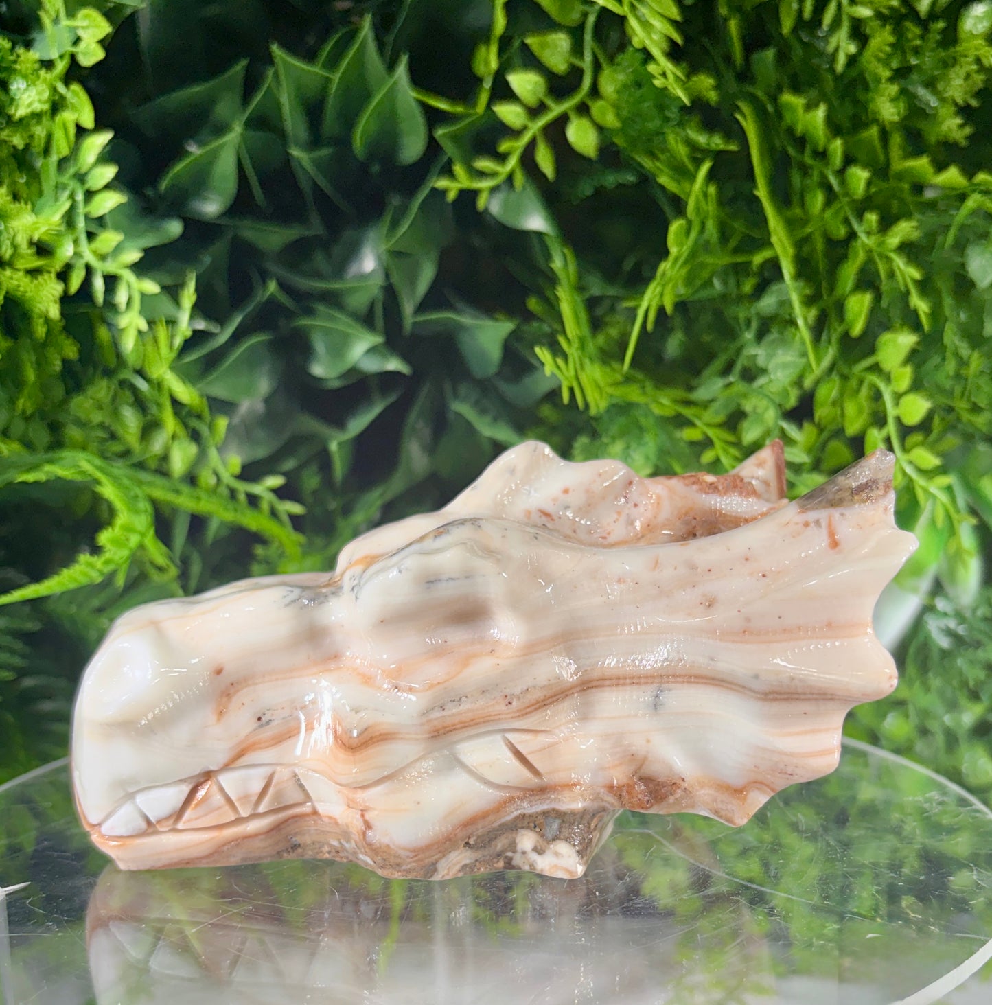 Amber Calcite Dragon Head Carving - Confidence • Clarity • Ancient Wisdom