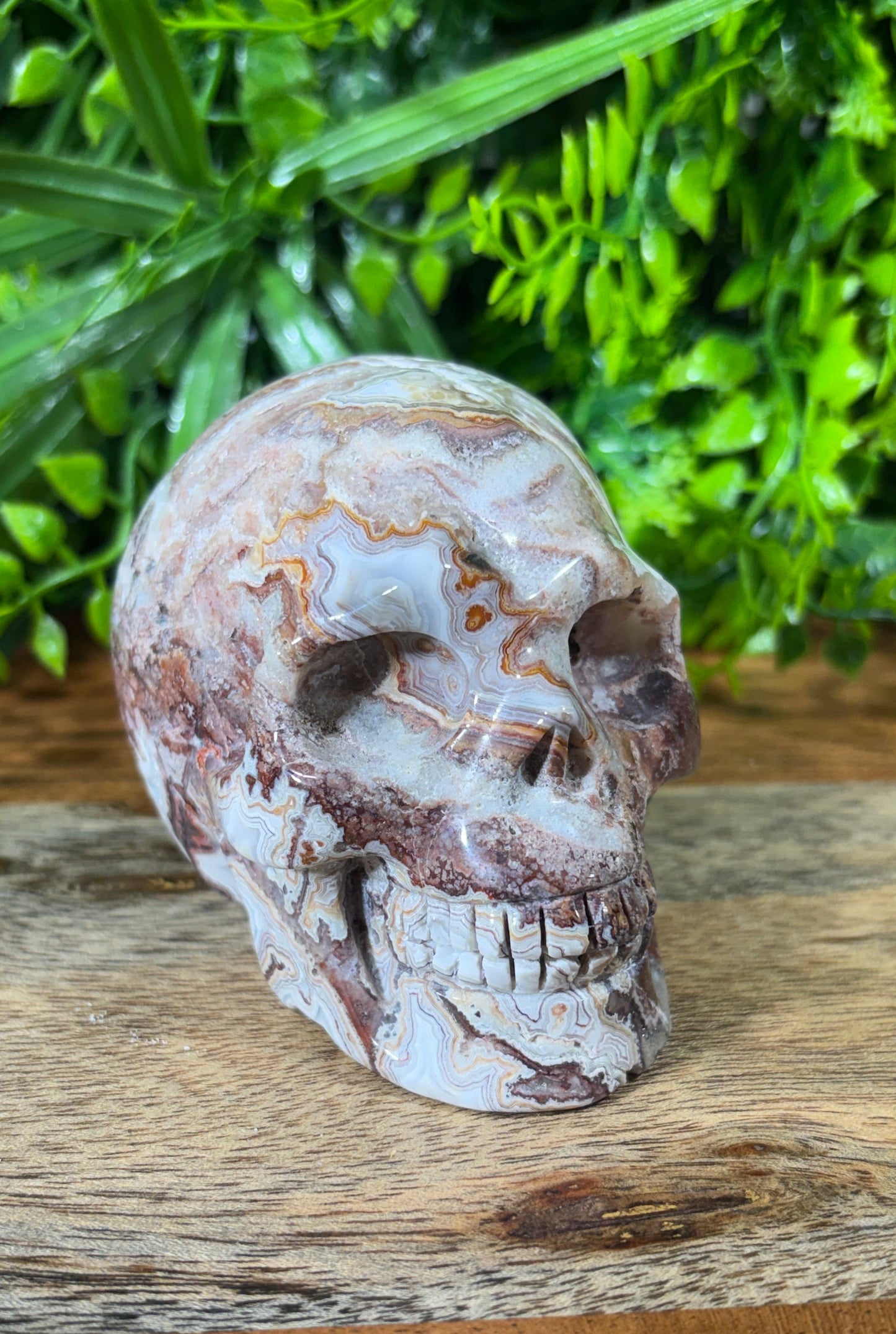White Mexican Lace Agate Skull -  Balance • Clarity • Grounding