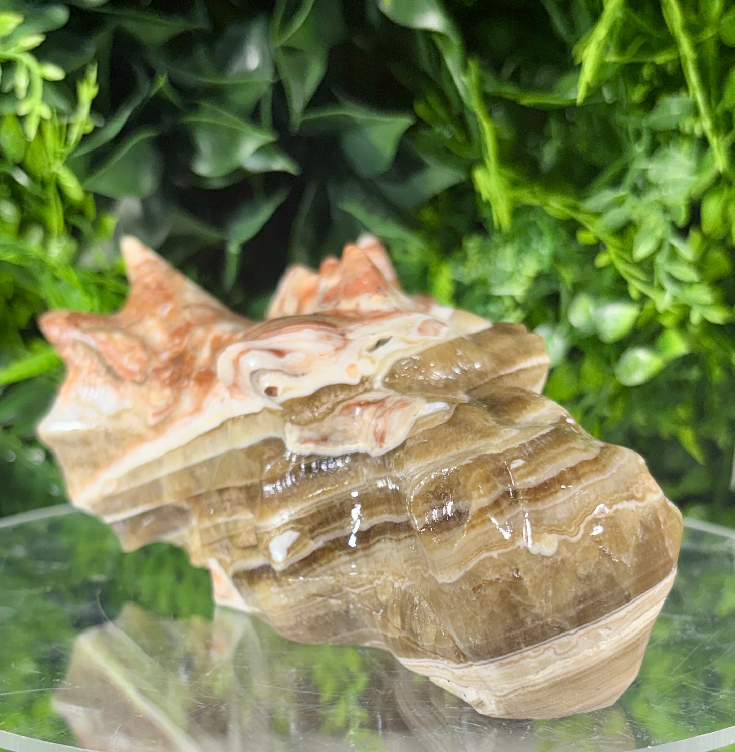 Amber Calcite Banded Dragon Head Carving - Confidence • Clarity • Joyful Energy
