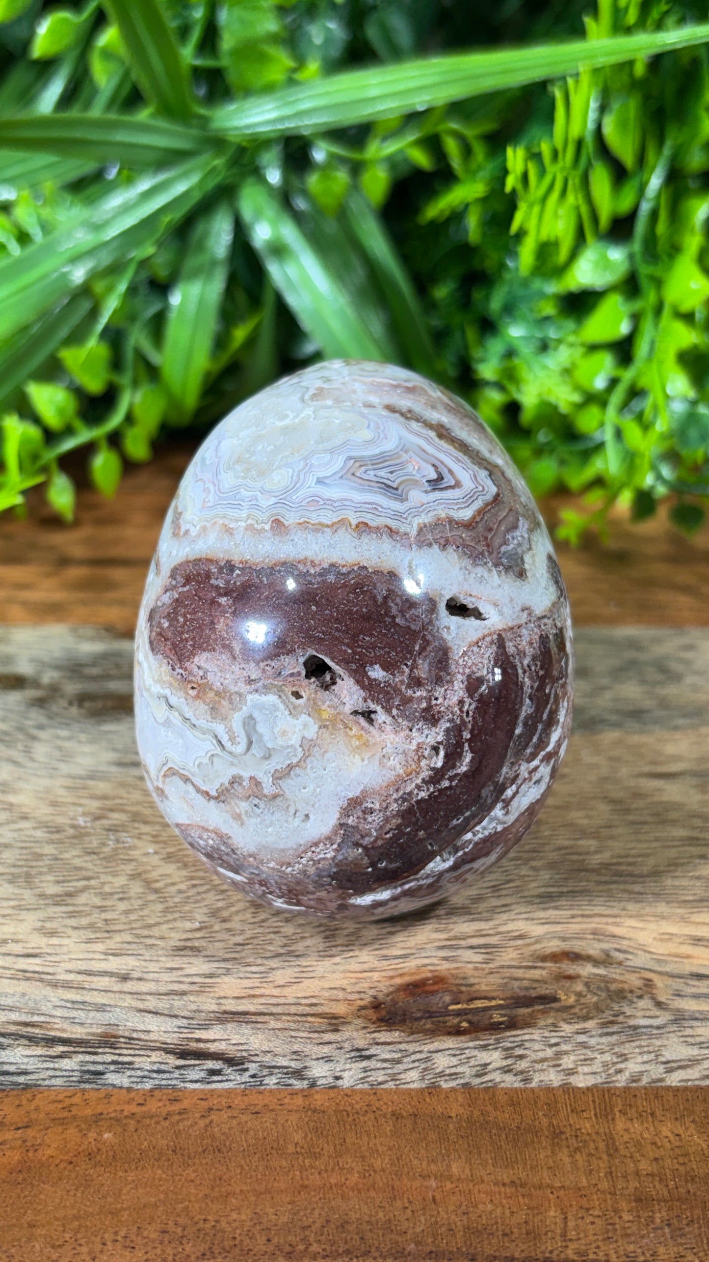 White Mexican Lace Agate Skull -  Balance • Clarity • Grounding