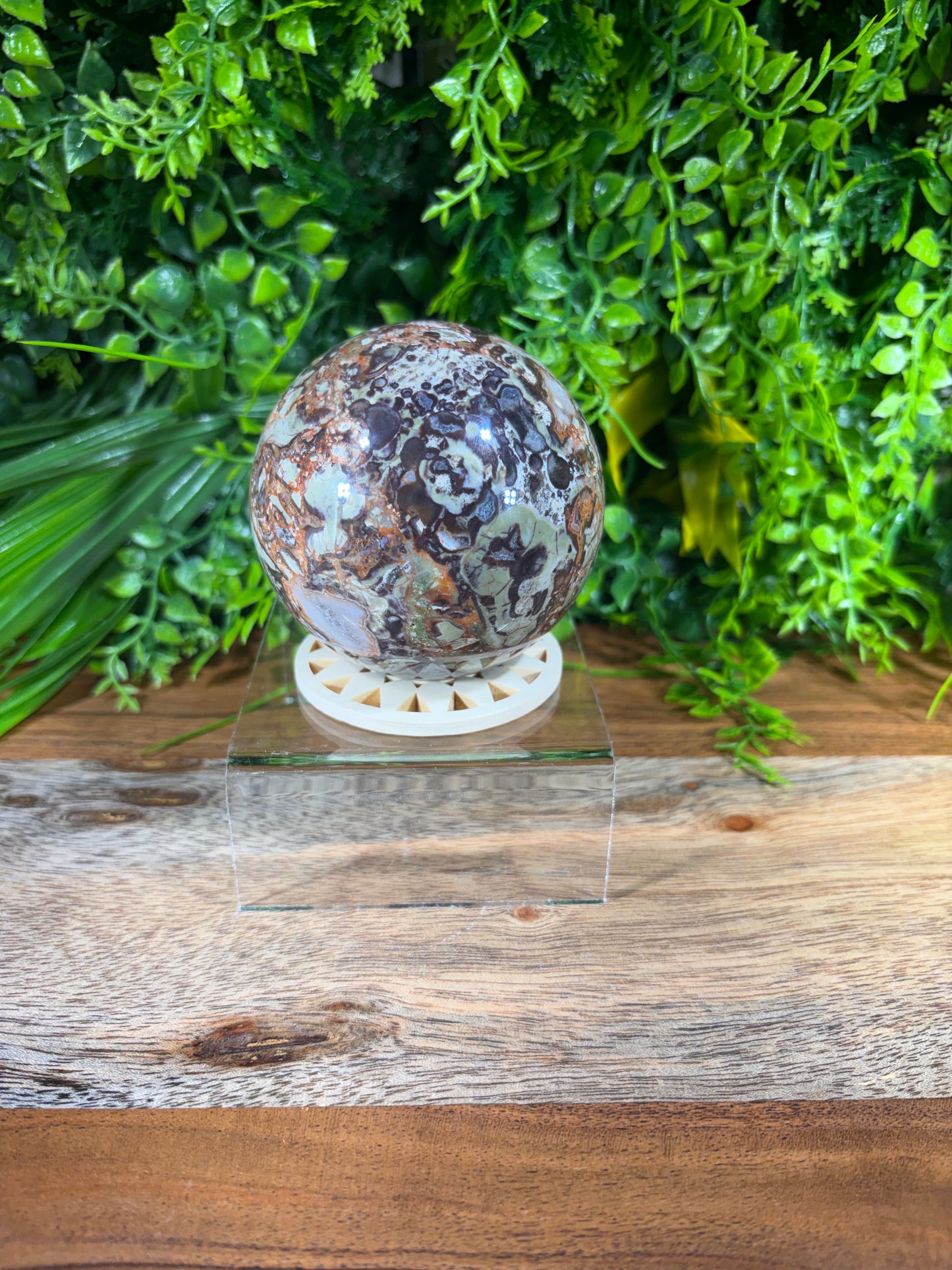 Money Agate Sphere -  Abundance • Prosperity • Growth