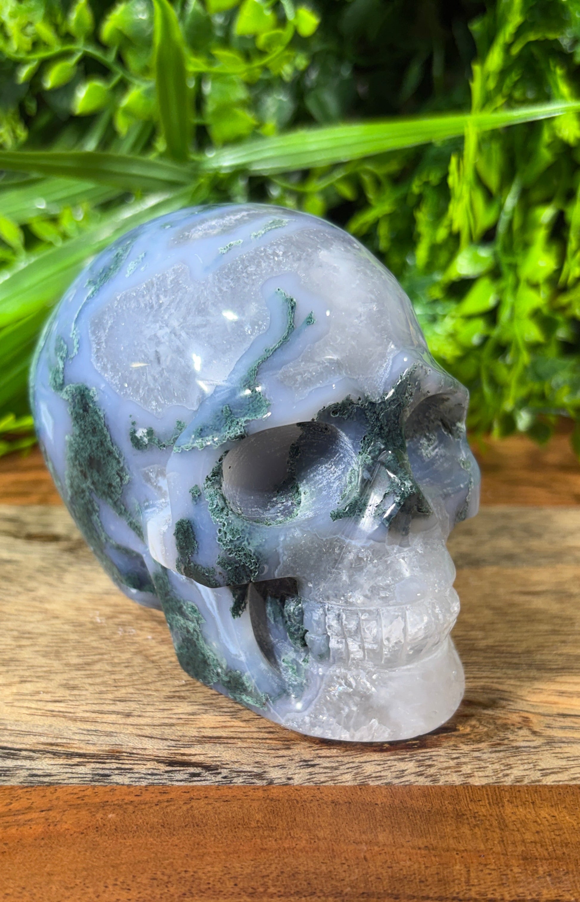 A carved crystal skull made of milky white and translucent blue stone with dark green marbled patterns, resting on a wooden surface with a blurred green foliage background.