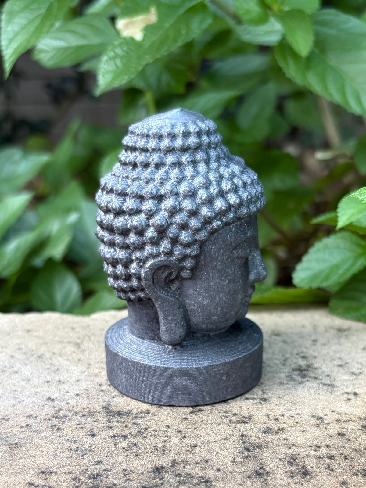 Shungite Buddha Head | Grounding • Protection • Inner Calm
