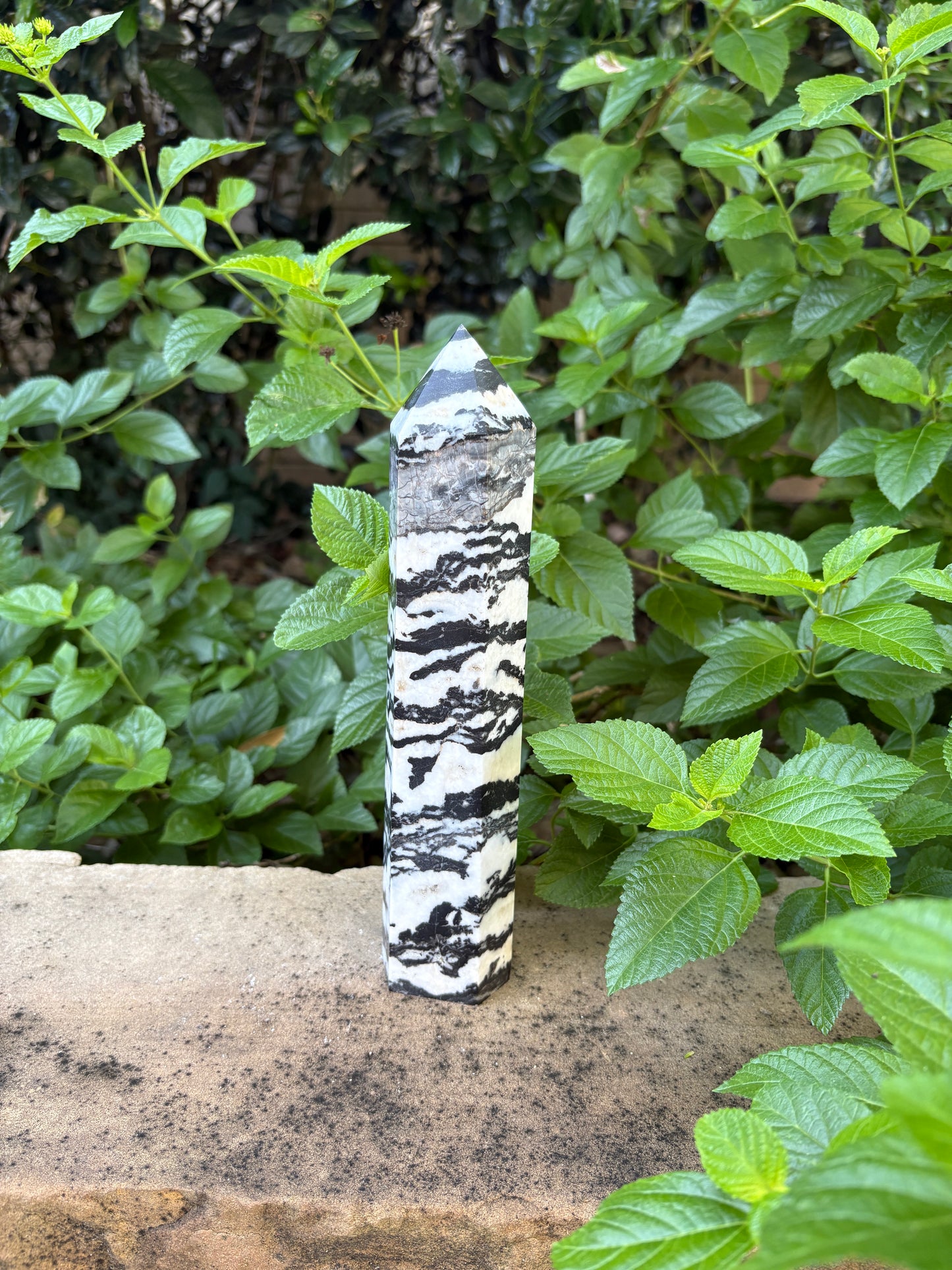 Zebra Jasper Tower - Grounding • Balance • Determination