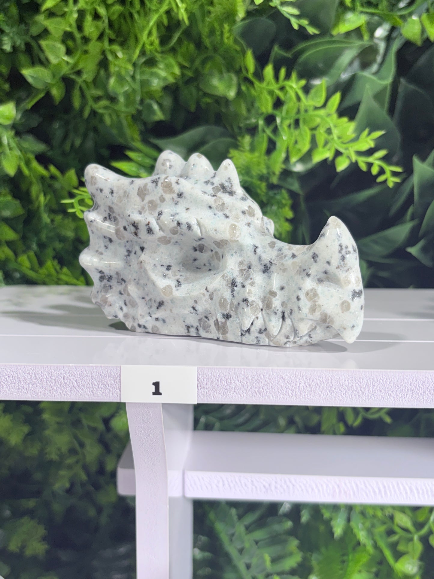 Moss Agate & Kiwi Jasper Dragon Guardians – Choose Your Dragon  Growth • Courage • Ancient Earth Magic