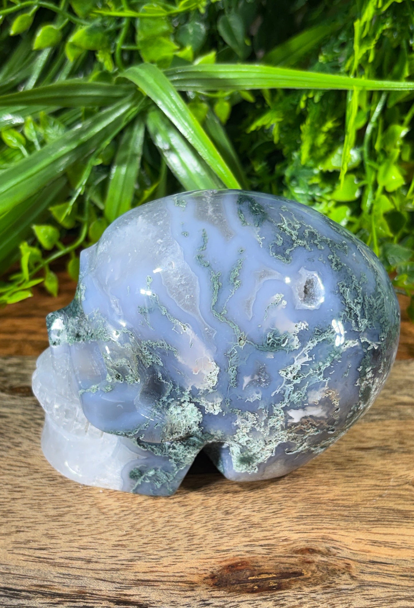 Moss Agate Skull -  Grounding • Growth • Abundance