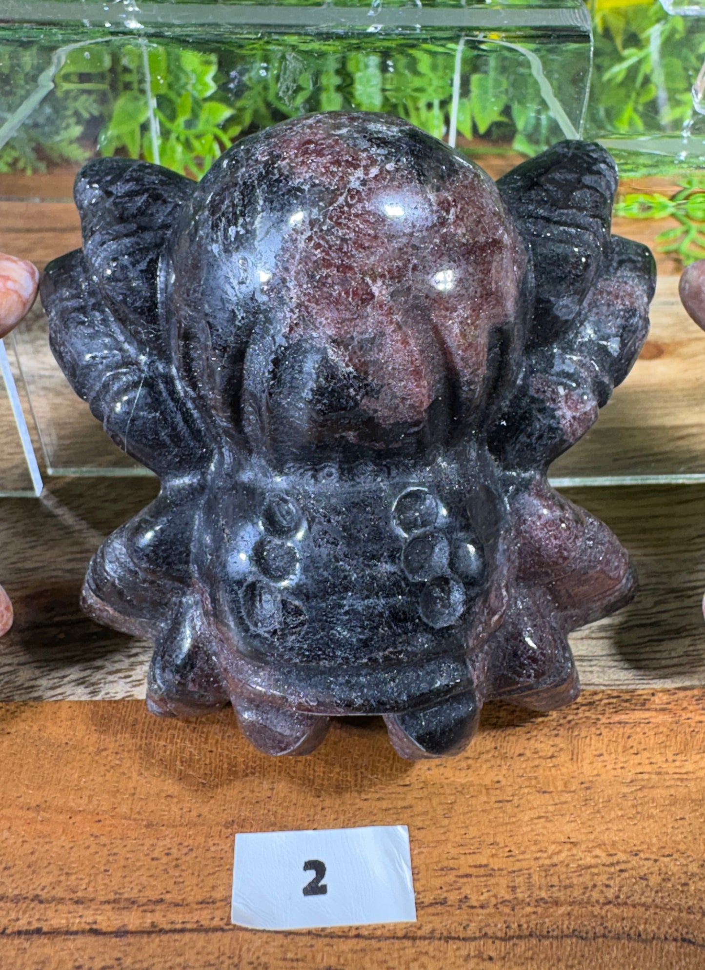 Crystal Spider Carvings - Creativity • Patience • Manifestation