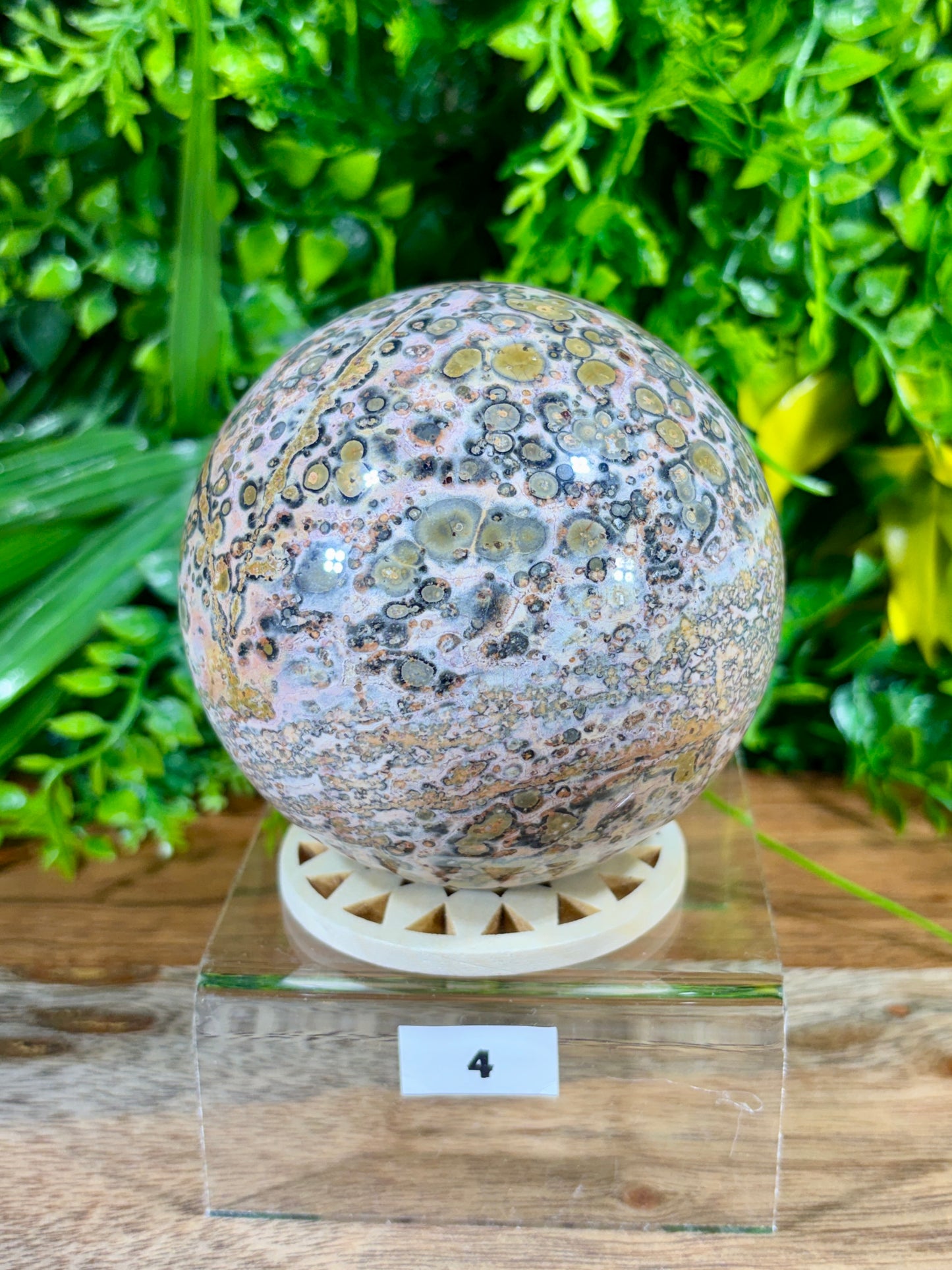 Leopard Skin Jasper Spheres Confidence • Grounding • Adventure