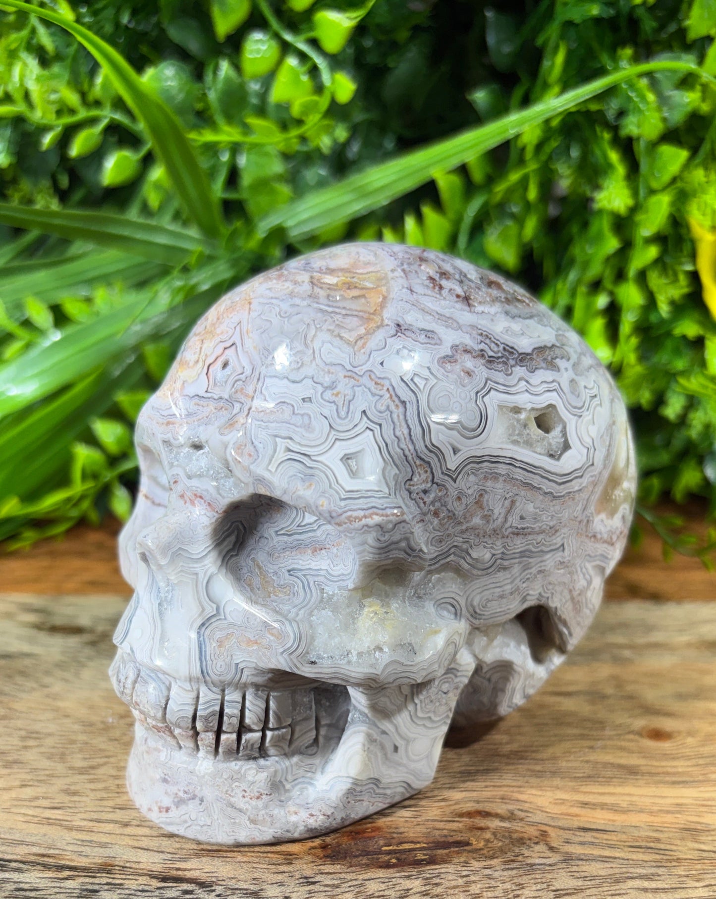 White Mexican Lace Agate Skull -  Balance • Clarity • Grounding