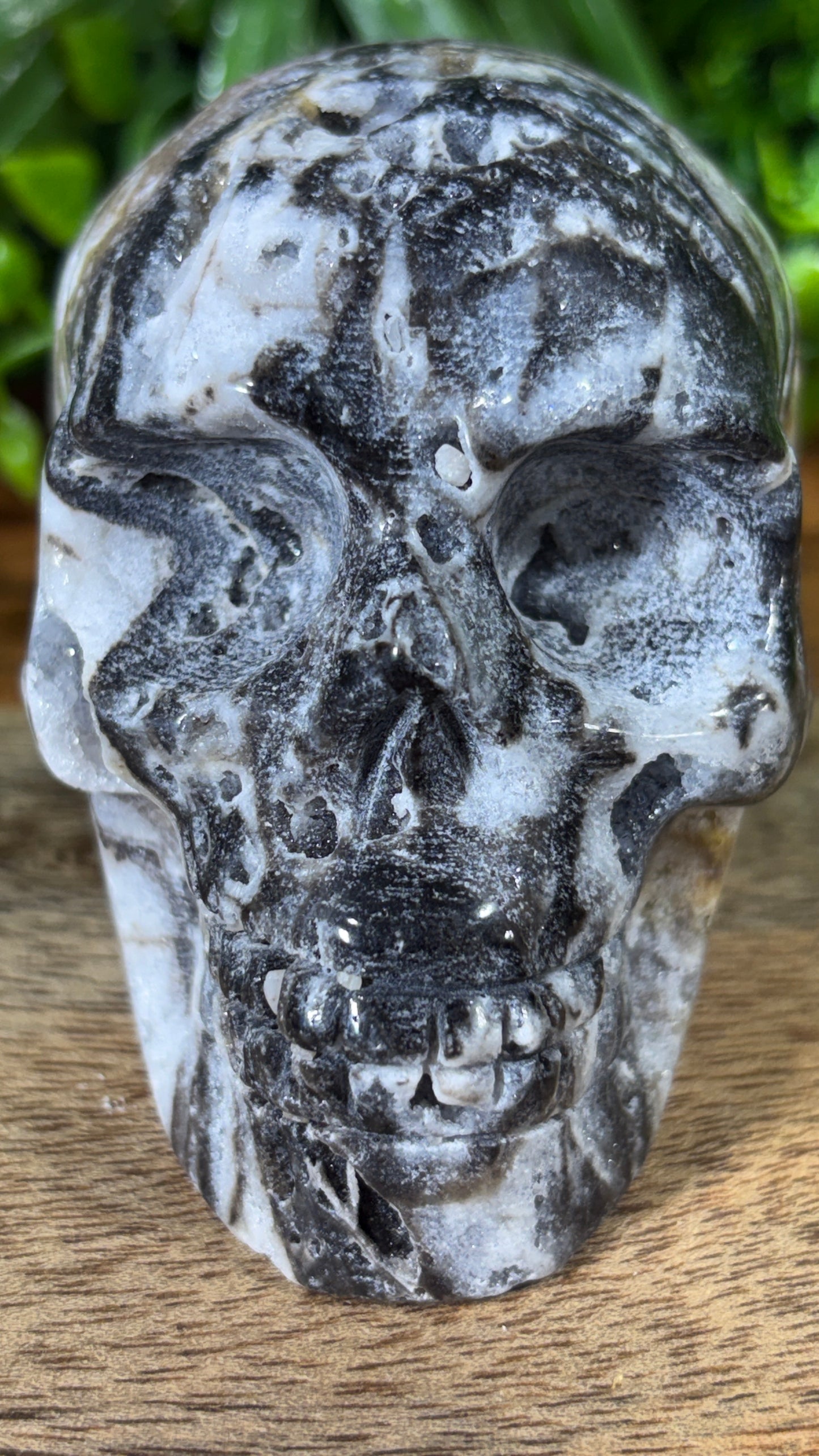 Sphalerite Skull with Druzy Caverns -  Grounding • Confidence • Transformation