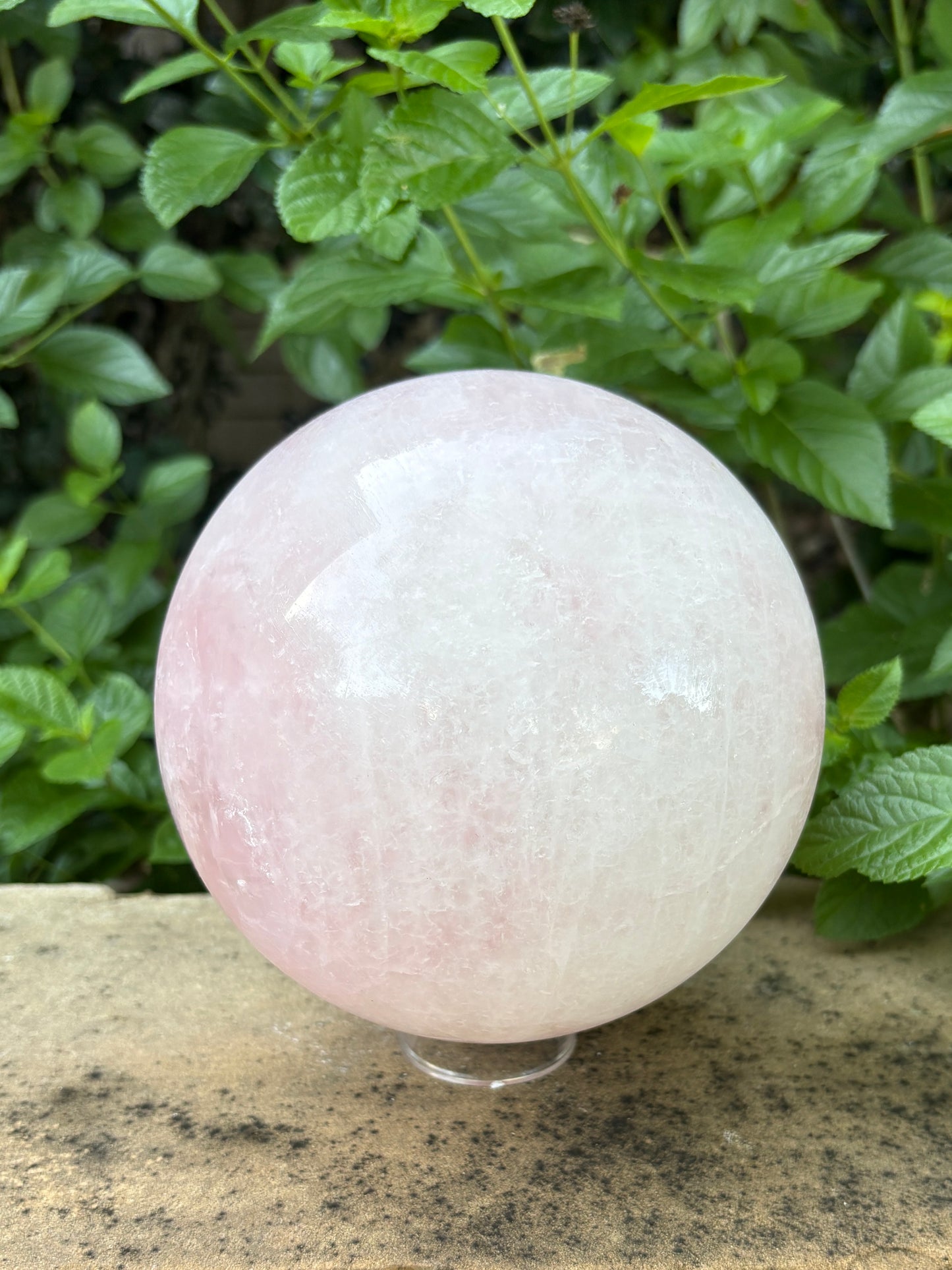 Large Rose Quartz Sphere 10.27 lbs. Love & Compassion