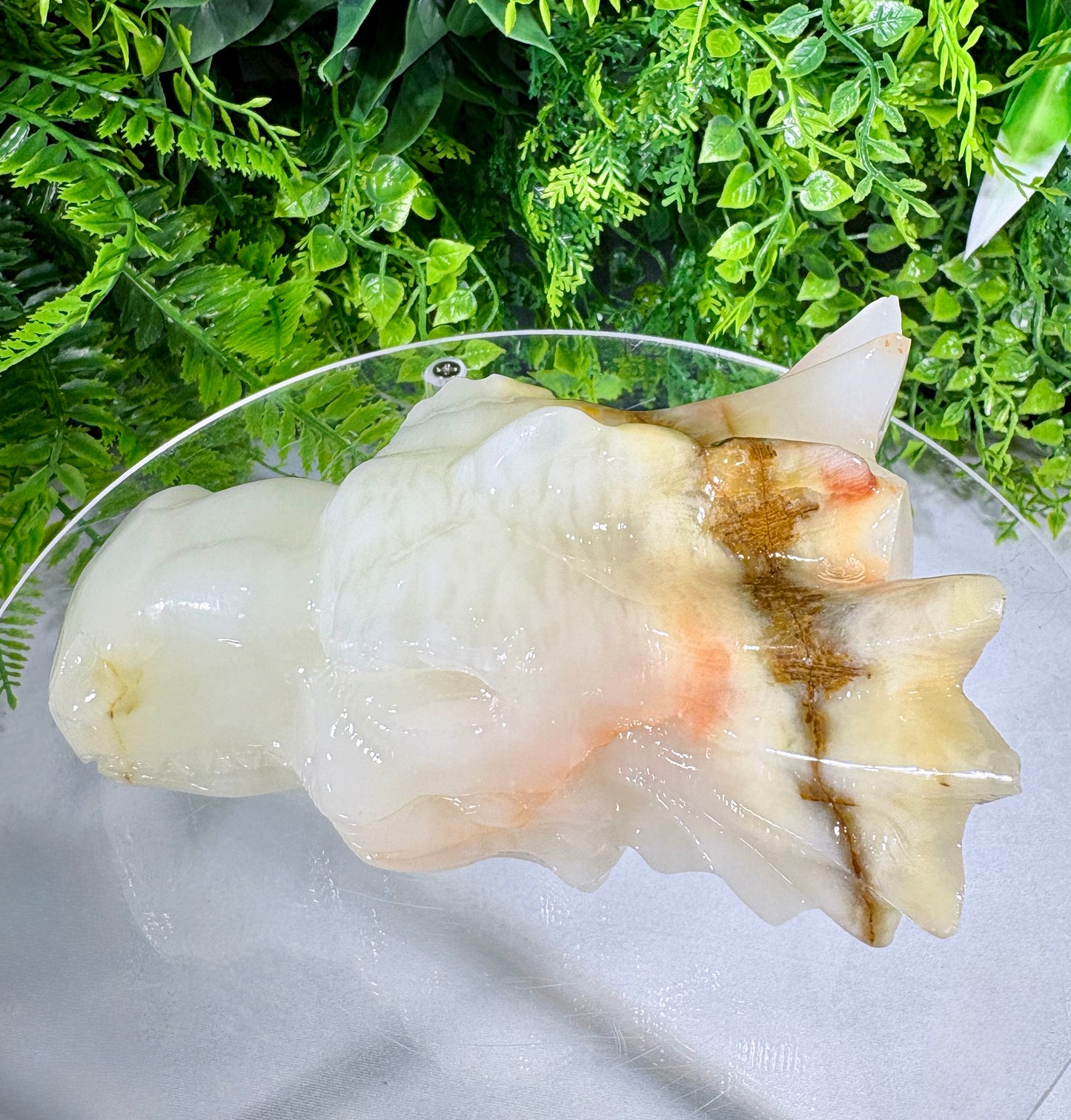 Ivory Onyx Dragon Head - Natural Banded Calcite - Calm • Grounding • Inner Wisdom