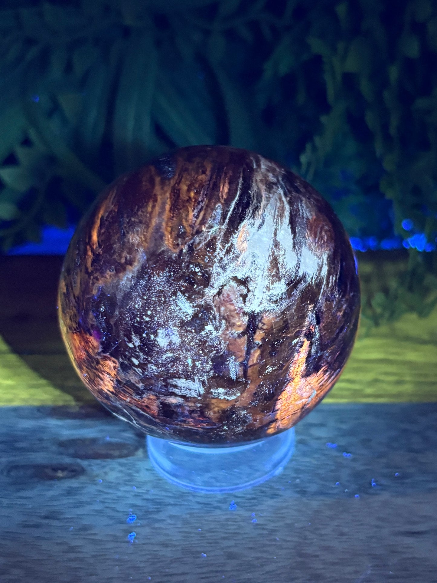 Petrified Wood Sphere • 64mm - Stability • Grounding • Ancient Connection