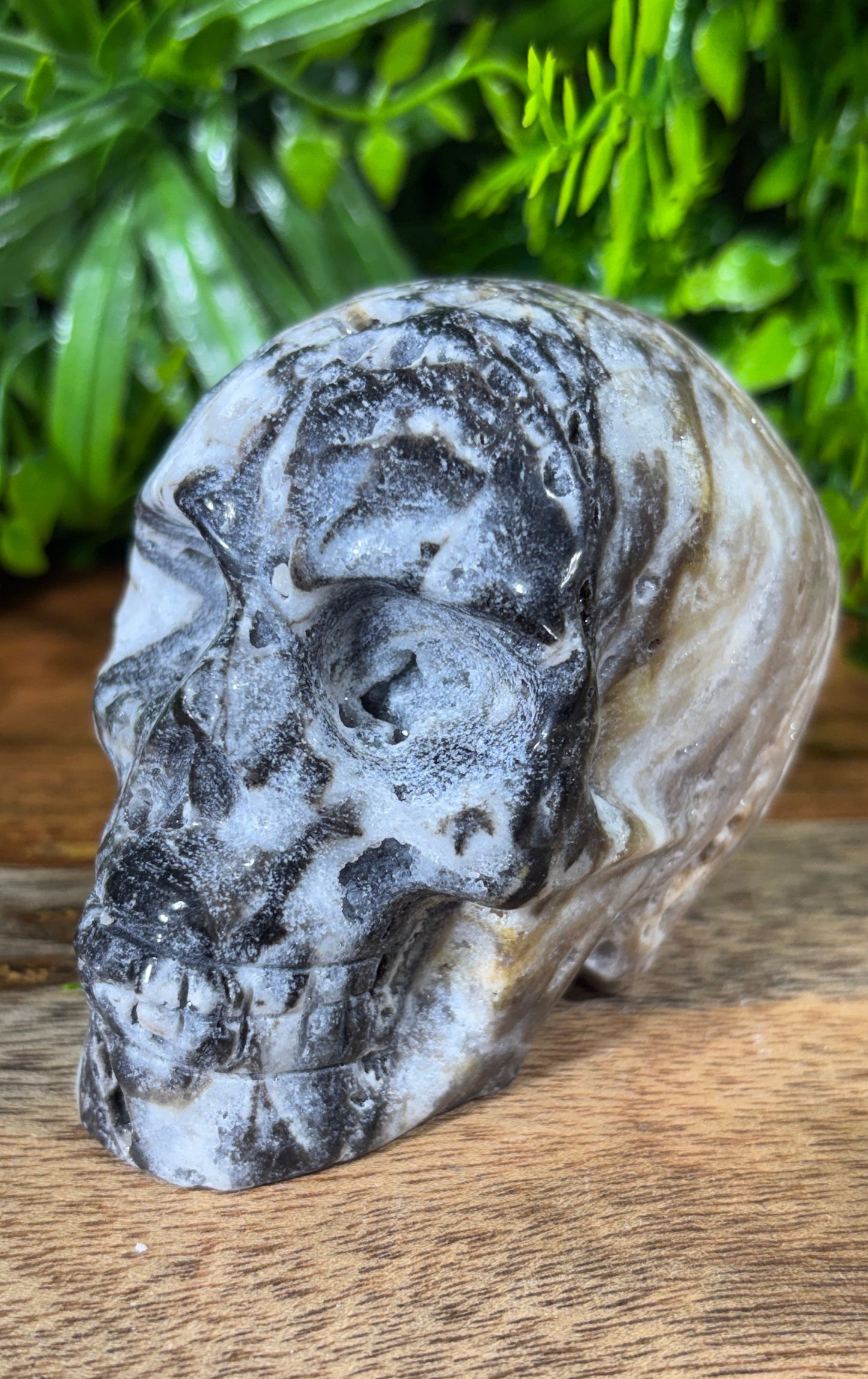 Sphalerite Skull with Druzy Caverns -  Grounding • Confidence • Transformation
