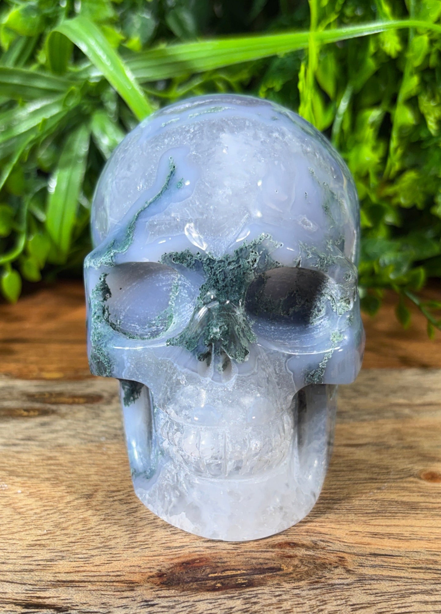 Moss Agate Skull -  Grounding • Growth • Abundance