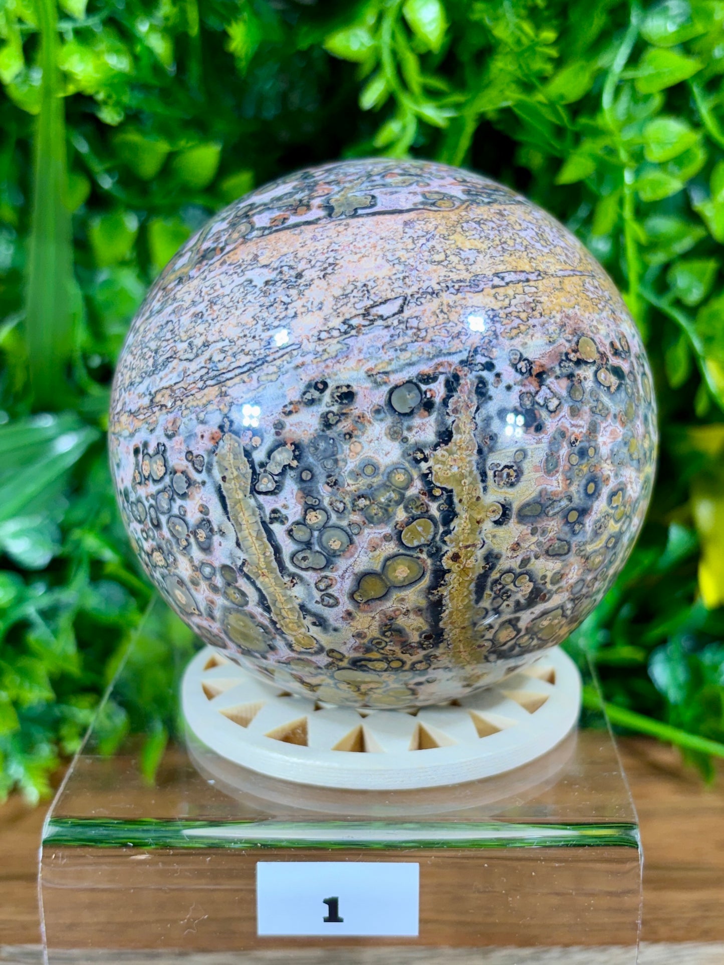 Leopard Skin Jasper Spheres Confidence • Grounding • Adventure