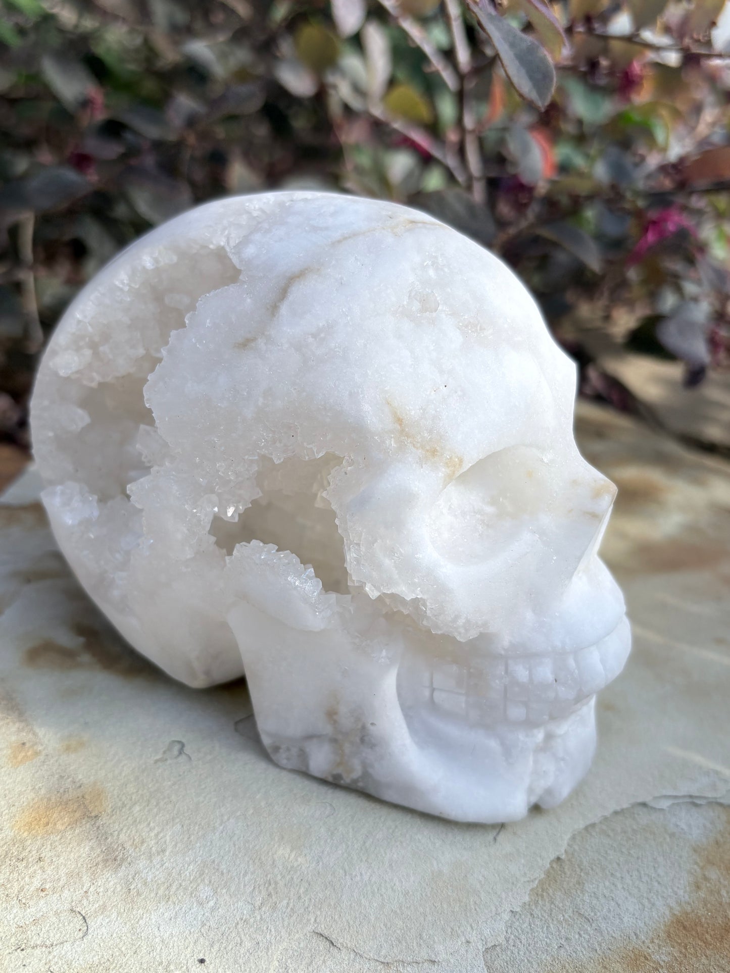 White Quartz Geode Crystal Skull – Clarity • Amplification • Inner Light