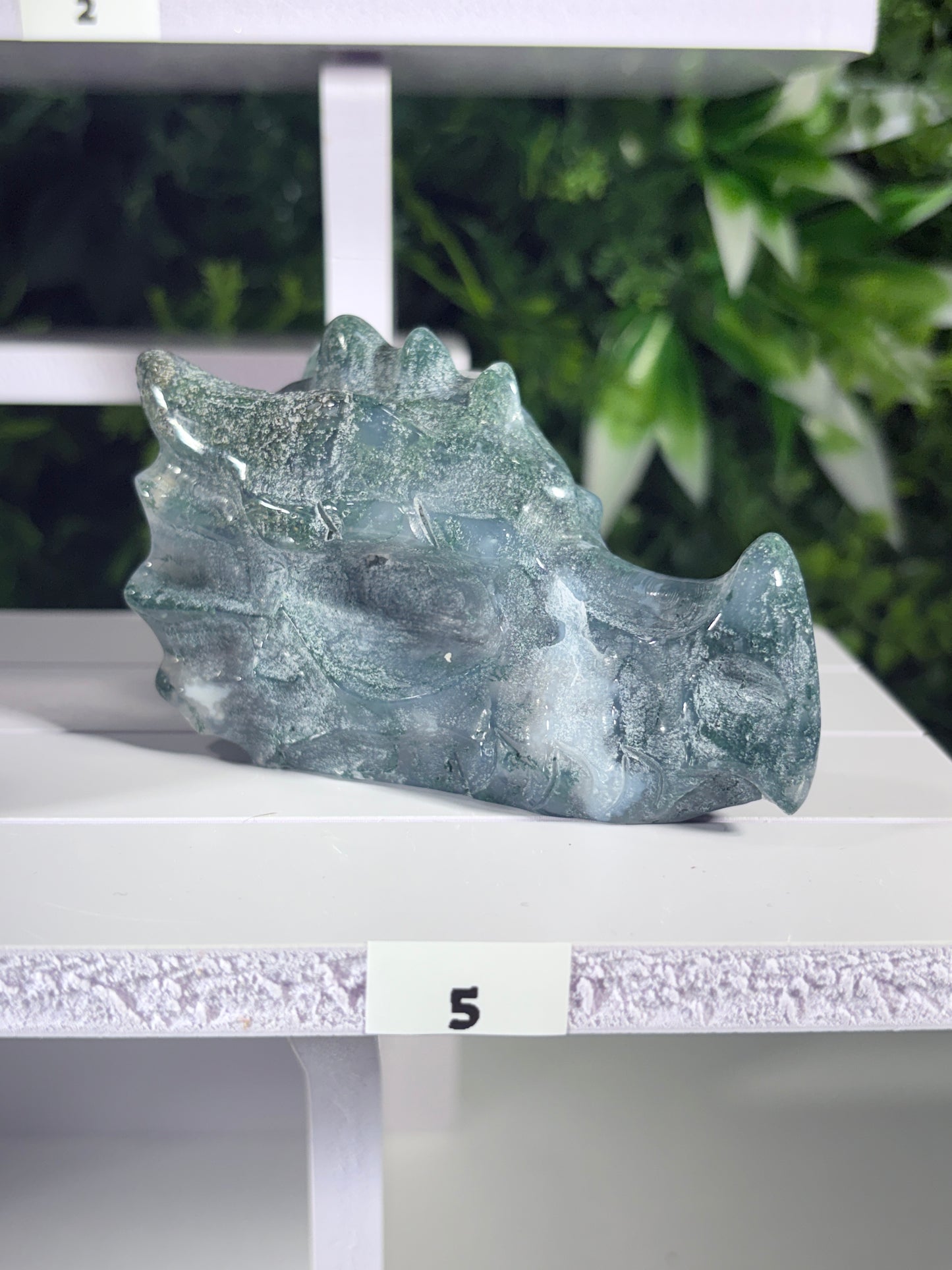 Moss Agate & Kiwi Jasper Dragon Guardians – Choose Your Dragon  Growth • Courage • Ancient Earth Magic
