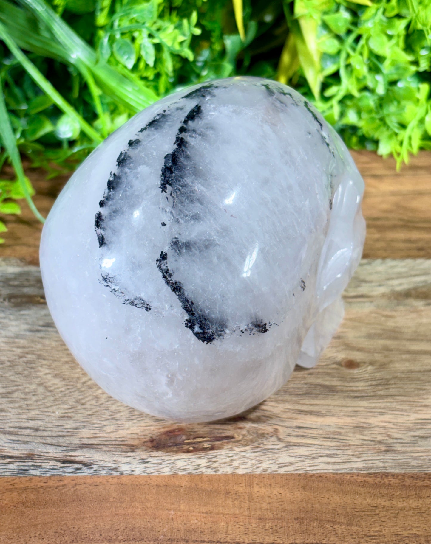4.5" Tourmalinated Quartz Skull Protection • Clarity • Grounding - 2.20 lbs.