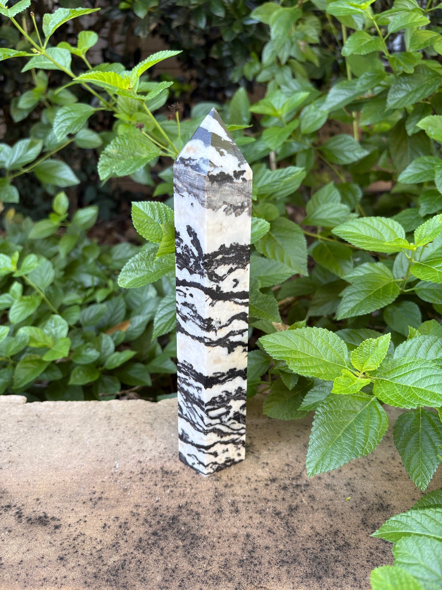 Zebra Jasper Tower - Grounding • Balance • Determination