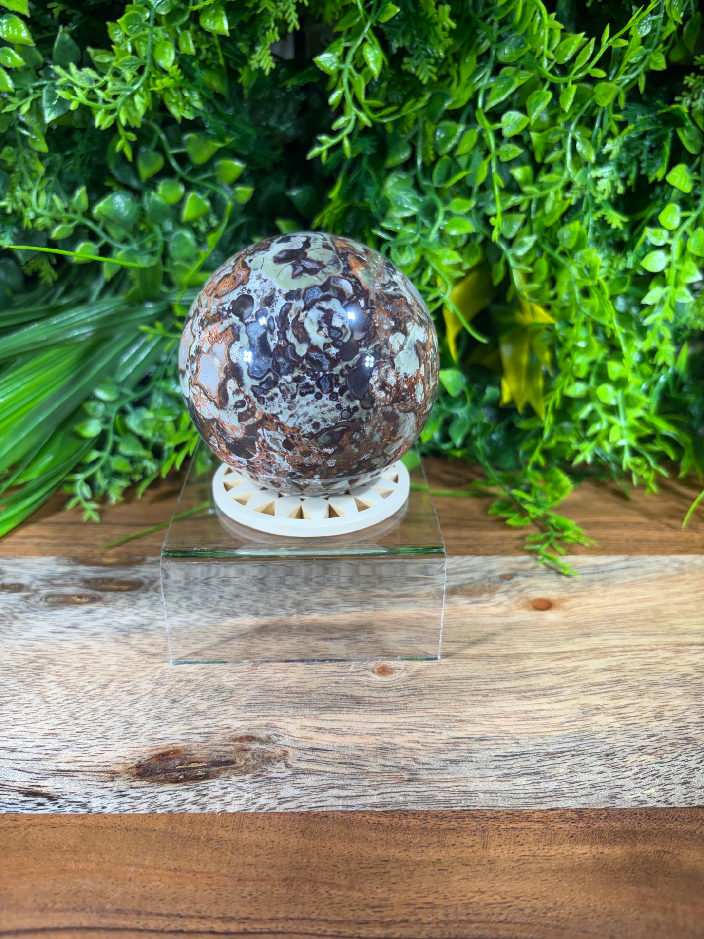 Money Agate Sphere -  Abundance • Prosperity • Growth