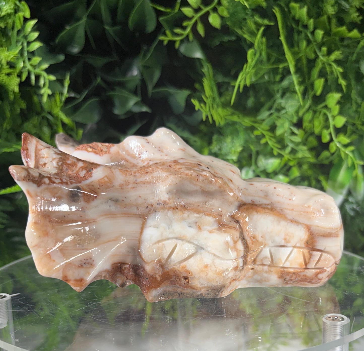 Amber Calcite Dragon Head Carving - Confidence • Clarity • Ancient Wisdom