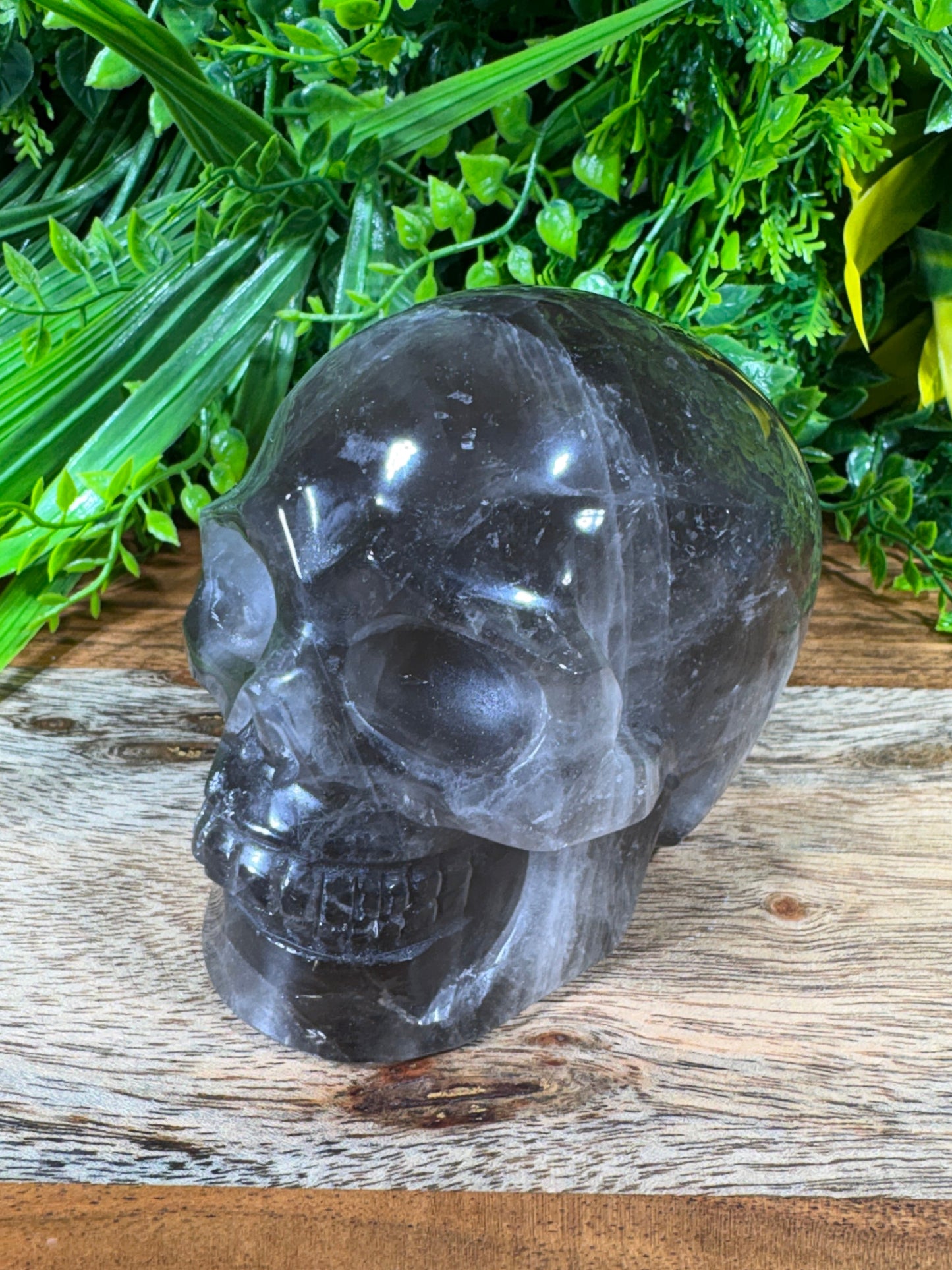 A polished black smoky quartz crystal skull sculpture resting on a rustic wooden surface with a background of green foliage.