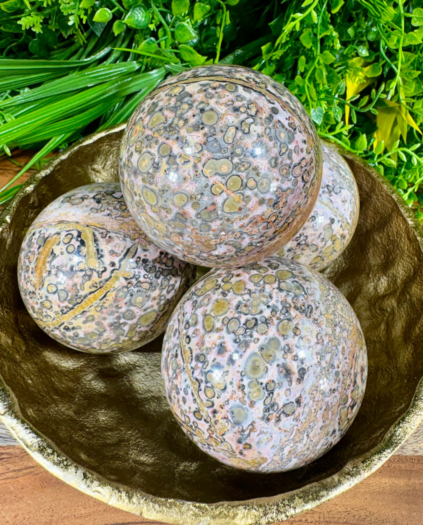 Leopard Skin Jasper Spheres Confidence • Grounding • Adventure