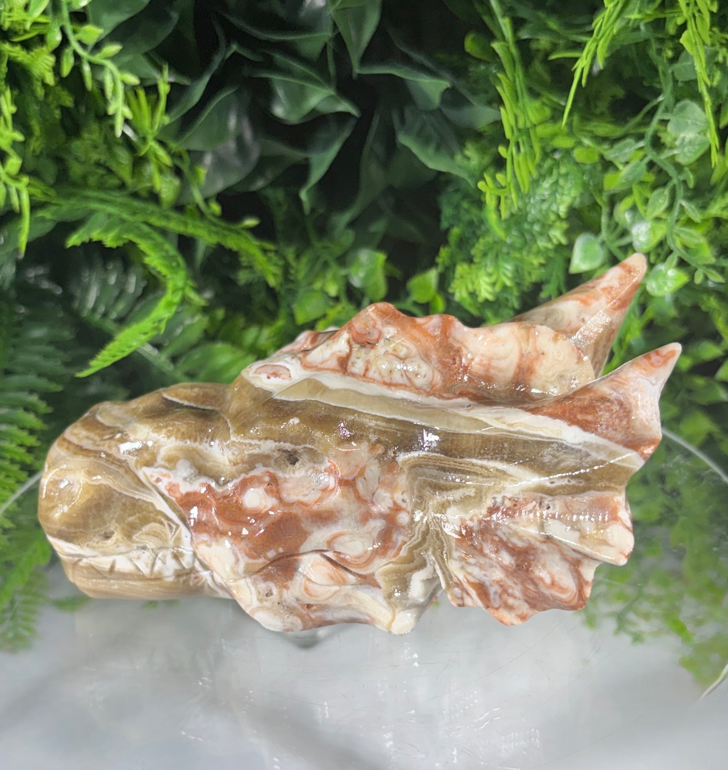 Amber Calcite Banded Dragon Head Carving - Confidence • Clarity • Joyful Energy