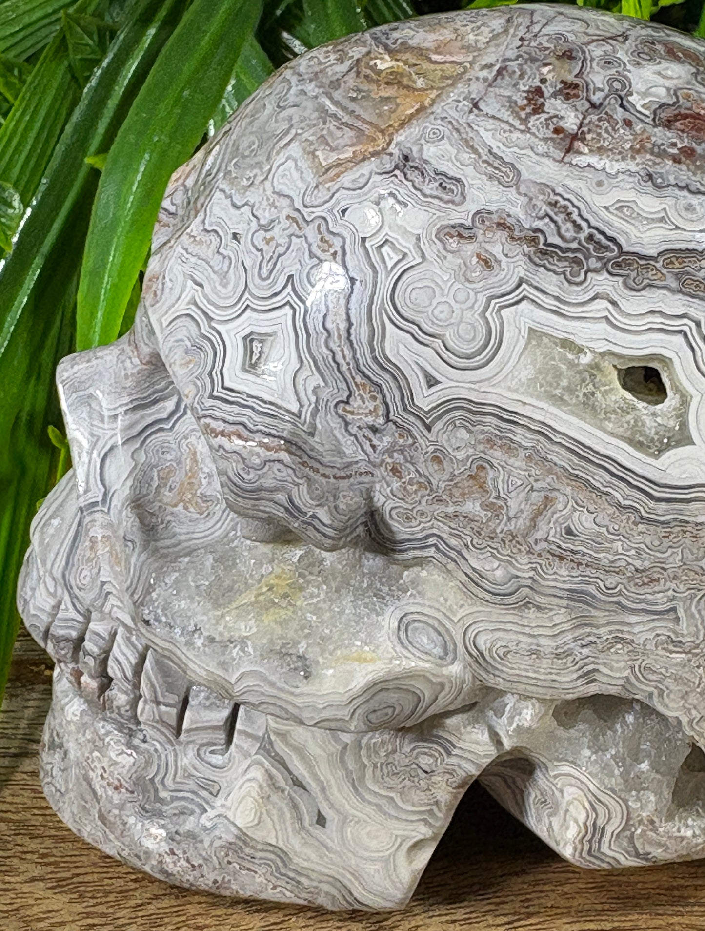 White Mexican Lace Agate Skull -  Balance • Clarity • Grounding