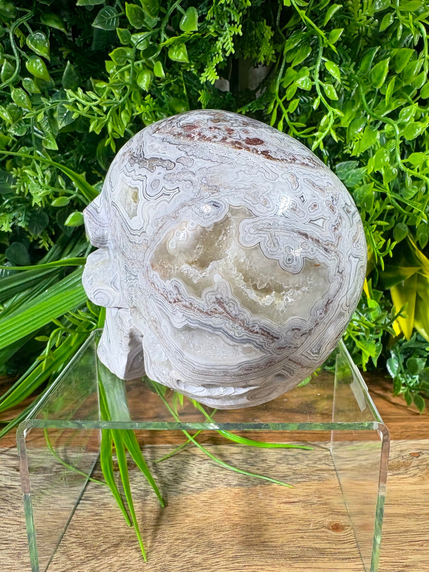 White Mexican Lace Agate Skull -  Balance • Clarity • Grounding