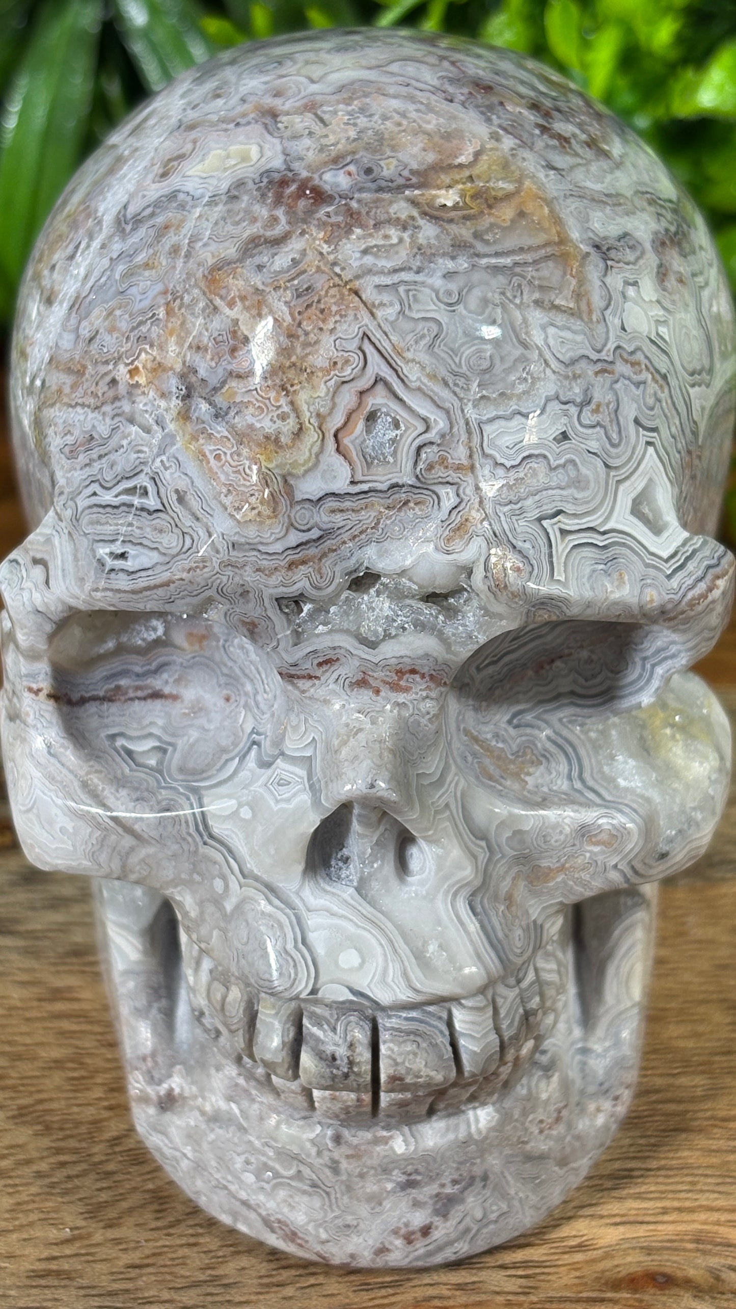 White Mexican Lace Agate Skull -  Balance • Clarity • Grounding